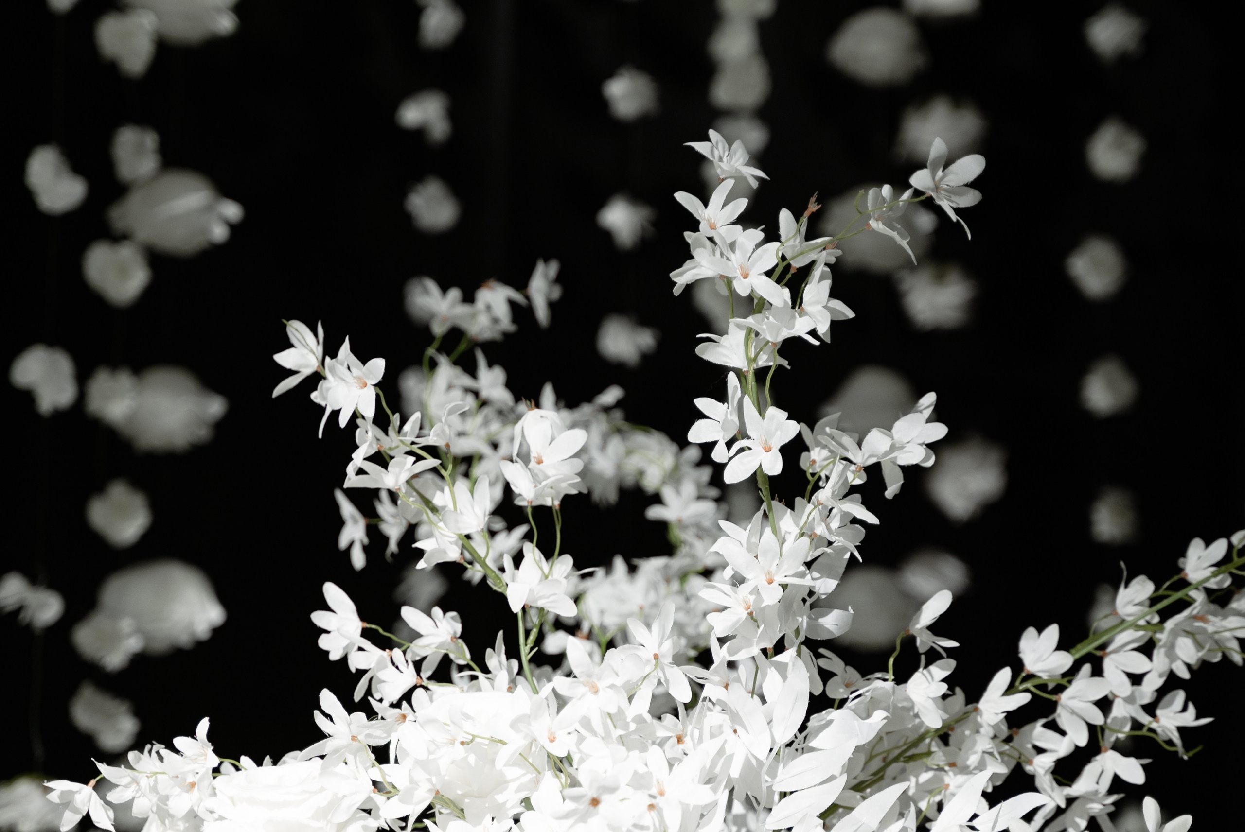 Аселя & Ерден. Свадебный и семейный фотограф Тюмень Екатеринбург Москвина Алёна