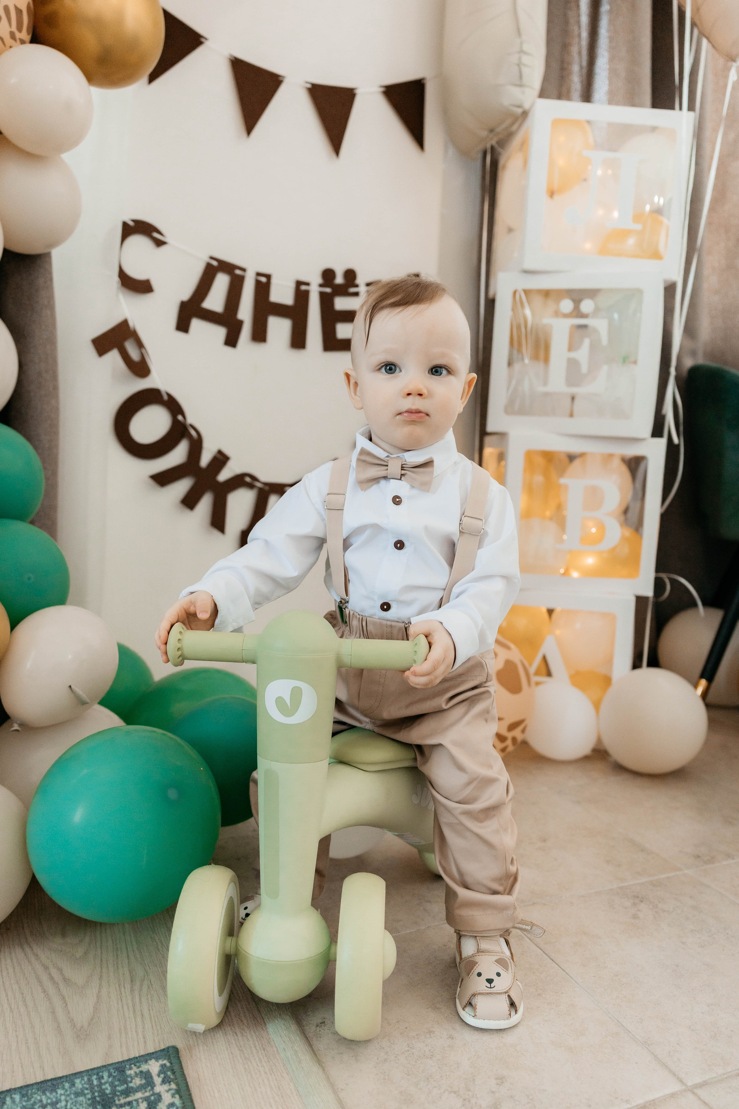 Лев. 2024 г. Персональный фотограф Катерина Литвинова