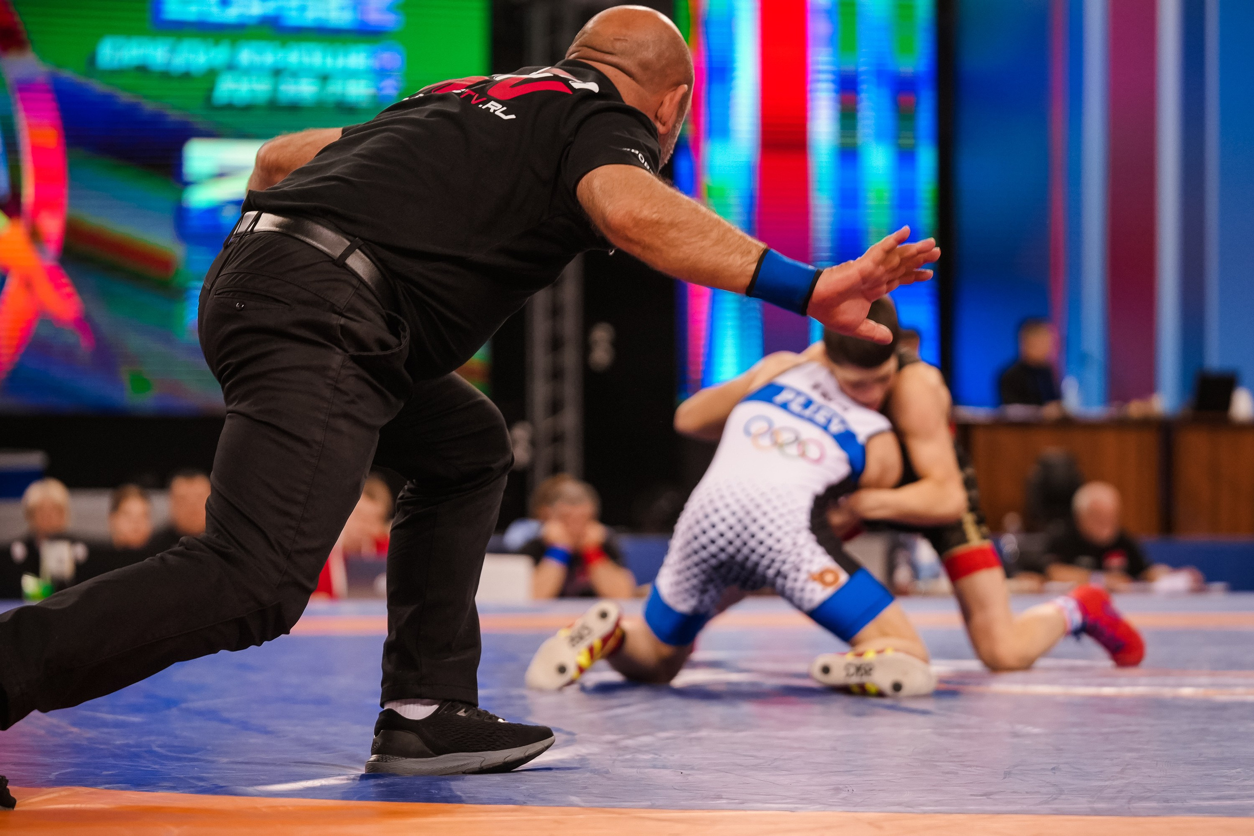 ПЕРВЕНСТВО РОССИИ по вольной борьбе 2025 Красноярск