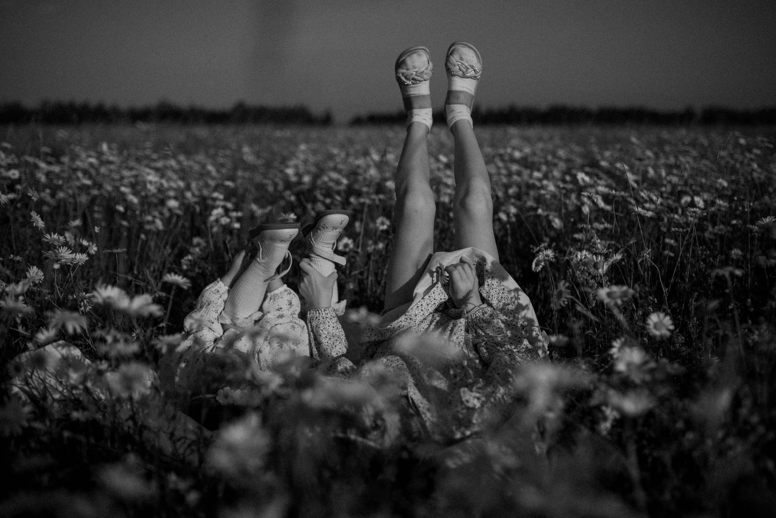 Ида, Мира и ромашки. Свадебный и семейный фотограф Кожевникова Лариса