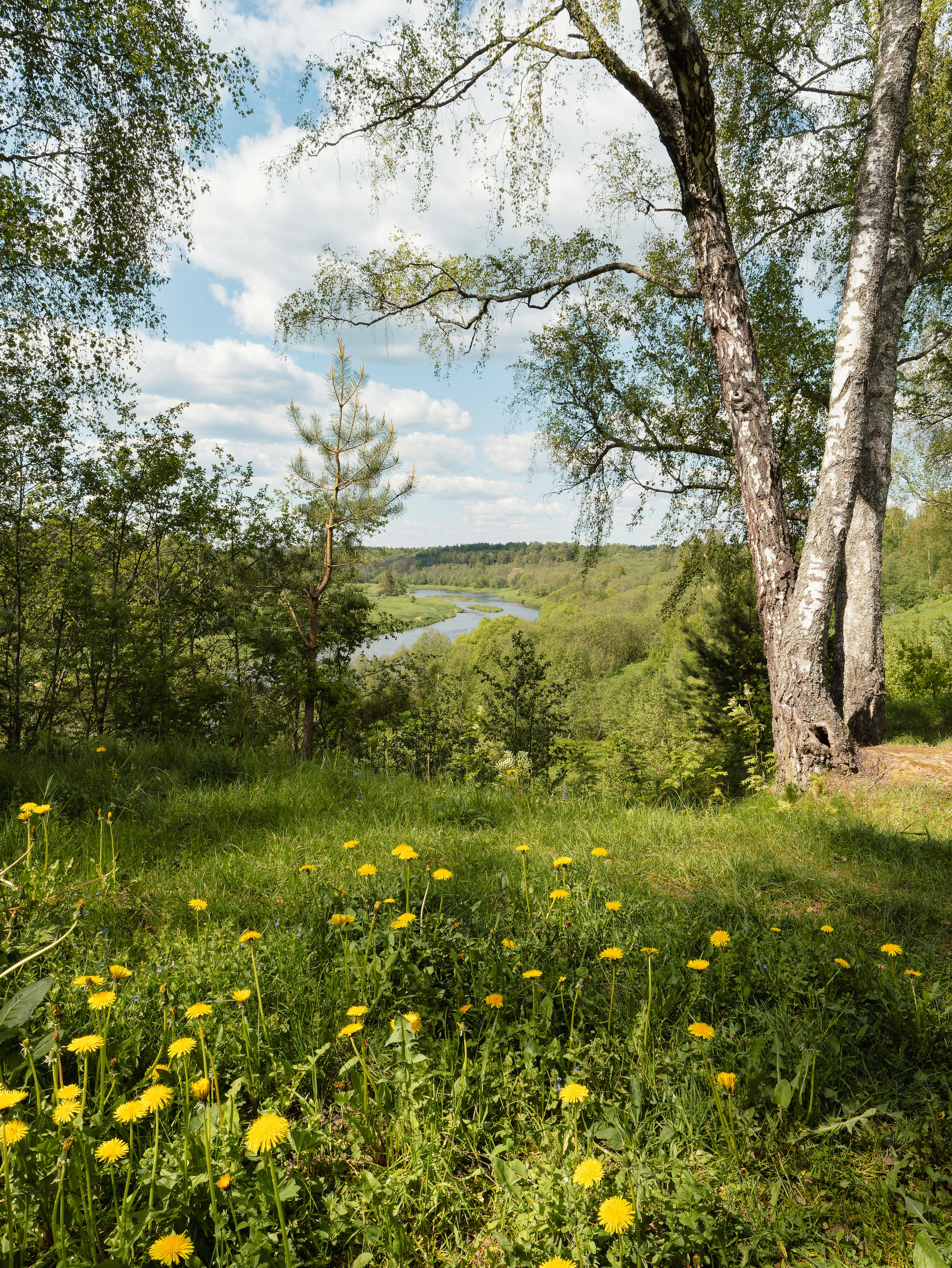 На берегу Угры. Конец мая 2024 года. Фотограф Никифоров-Гордеев Сергей. Москва и МО