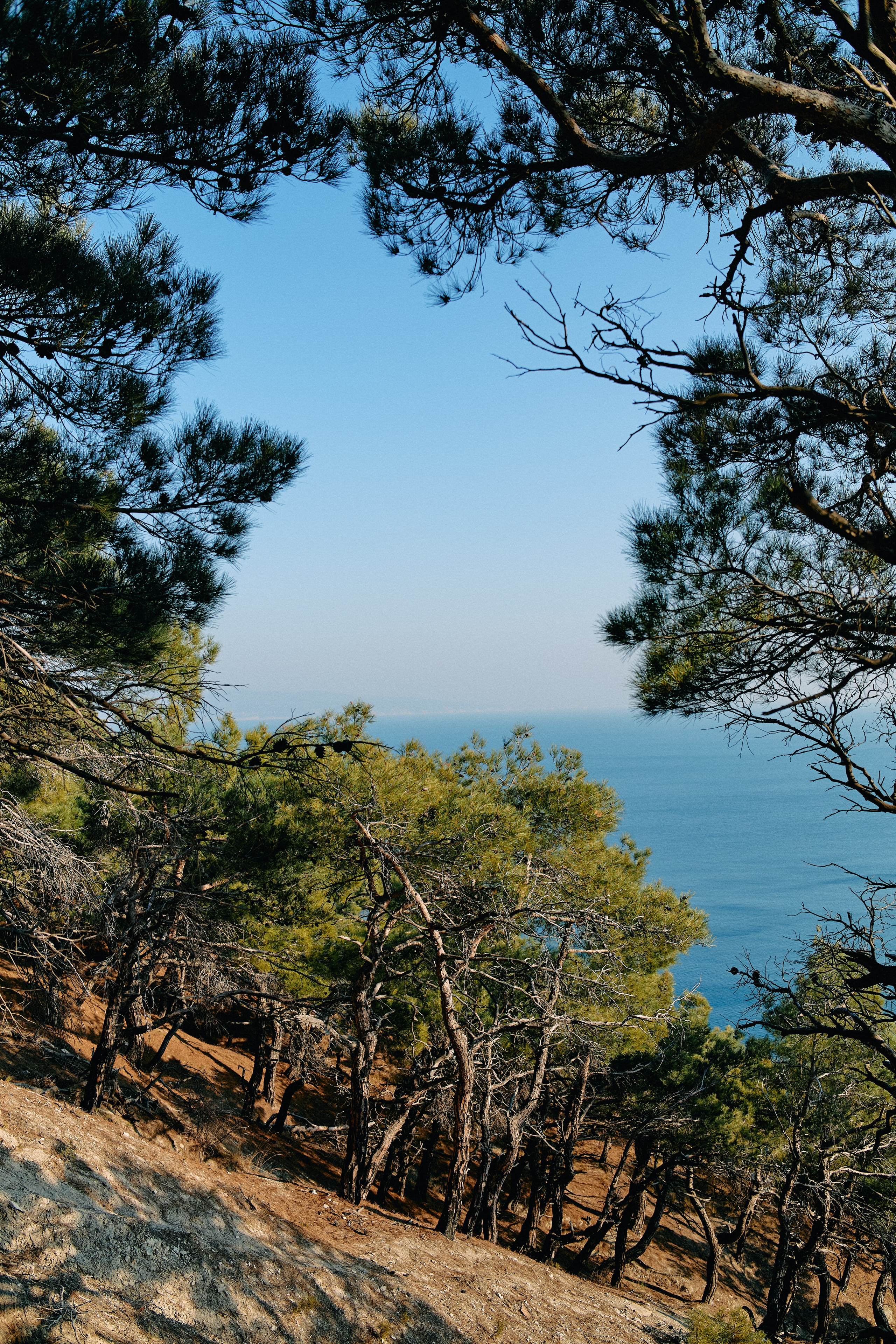 Юг России. Профессиональный Фотограф во Владимире, в Москве и в Суздале — Полина Романычева