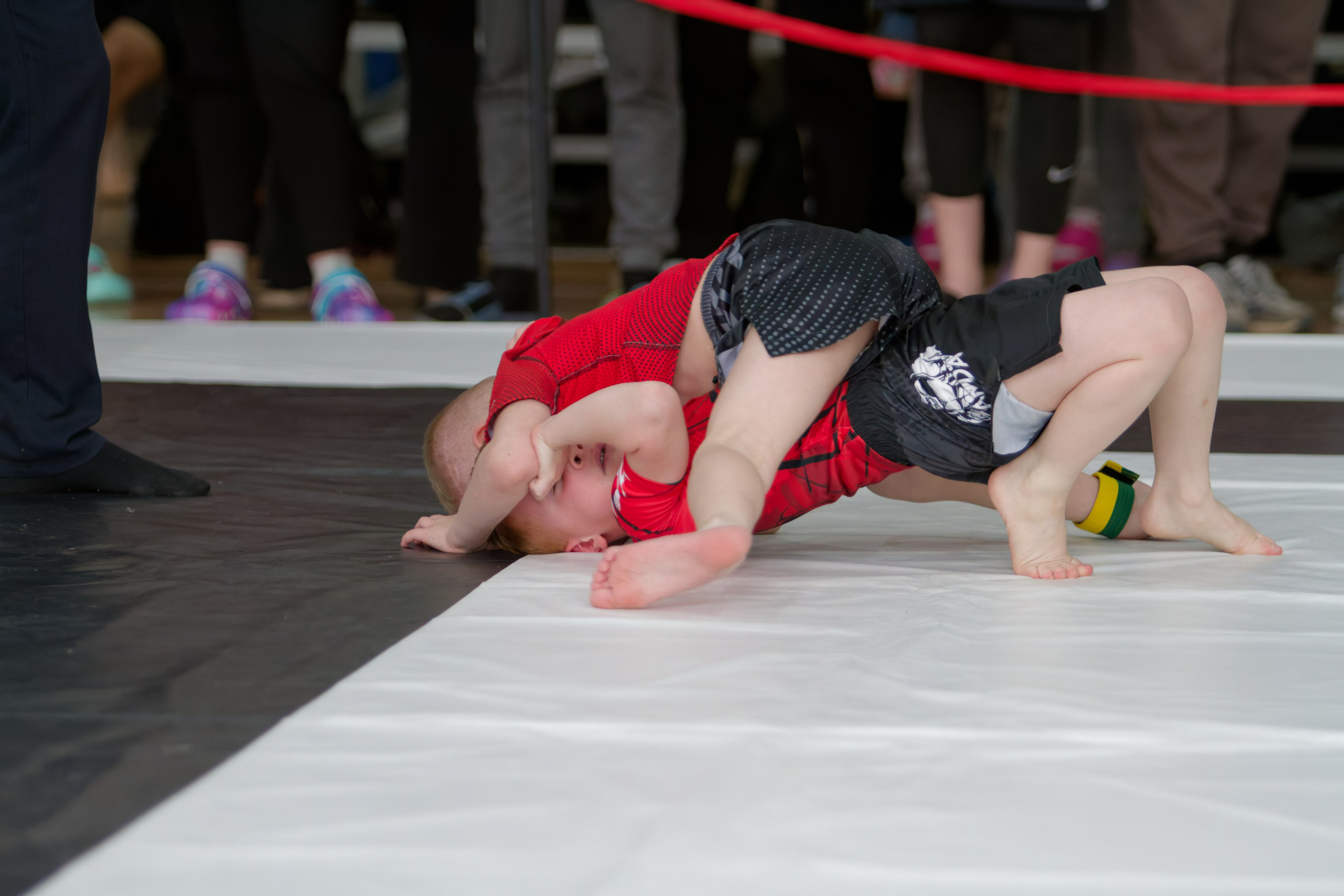 Борьба. Джиу-джитсу 26.04.2025. Репортажный и спортивный фотограф в г. Пермь Зильберг Павел