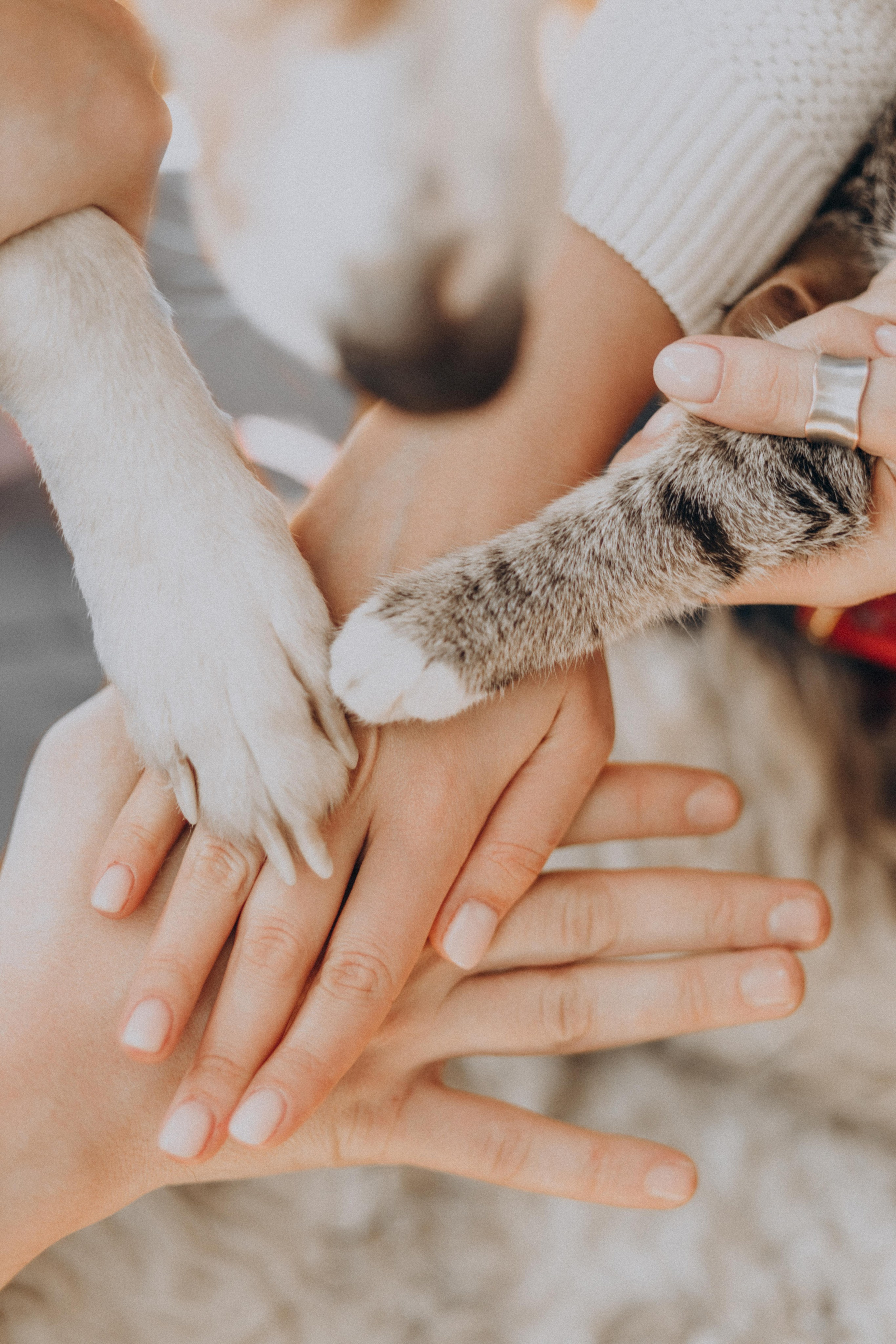 ИДЕИ ДЛЯ СЕМЕЙНОЙ СЪЕМКИ