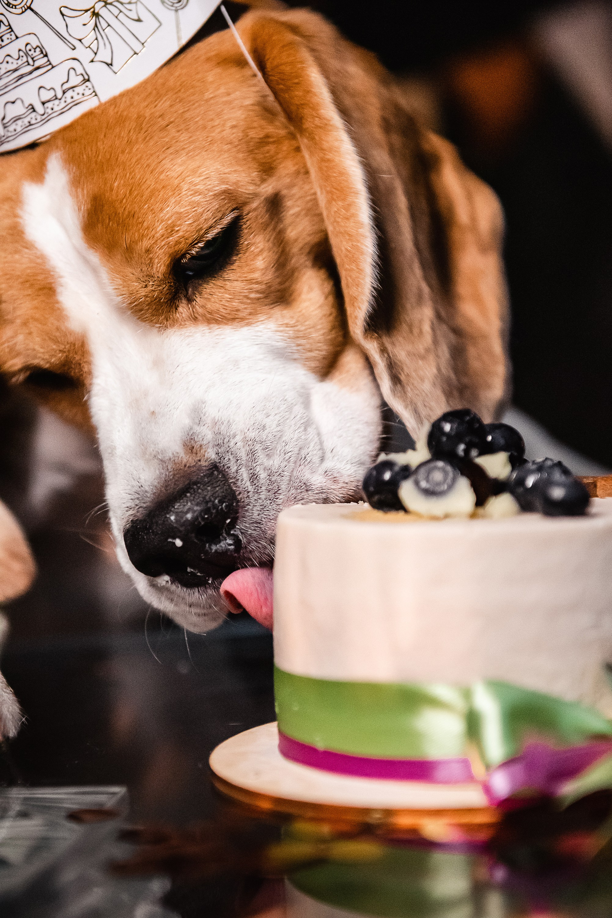 День рождение Дарси. Семейный Фотограф в Москве Ирина Хохлова