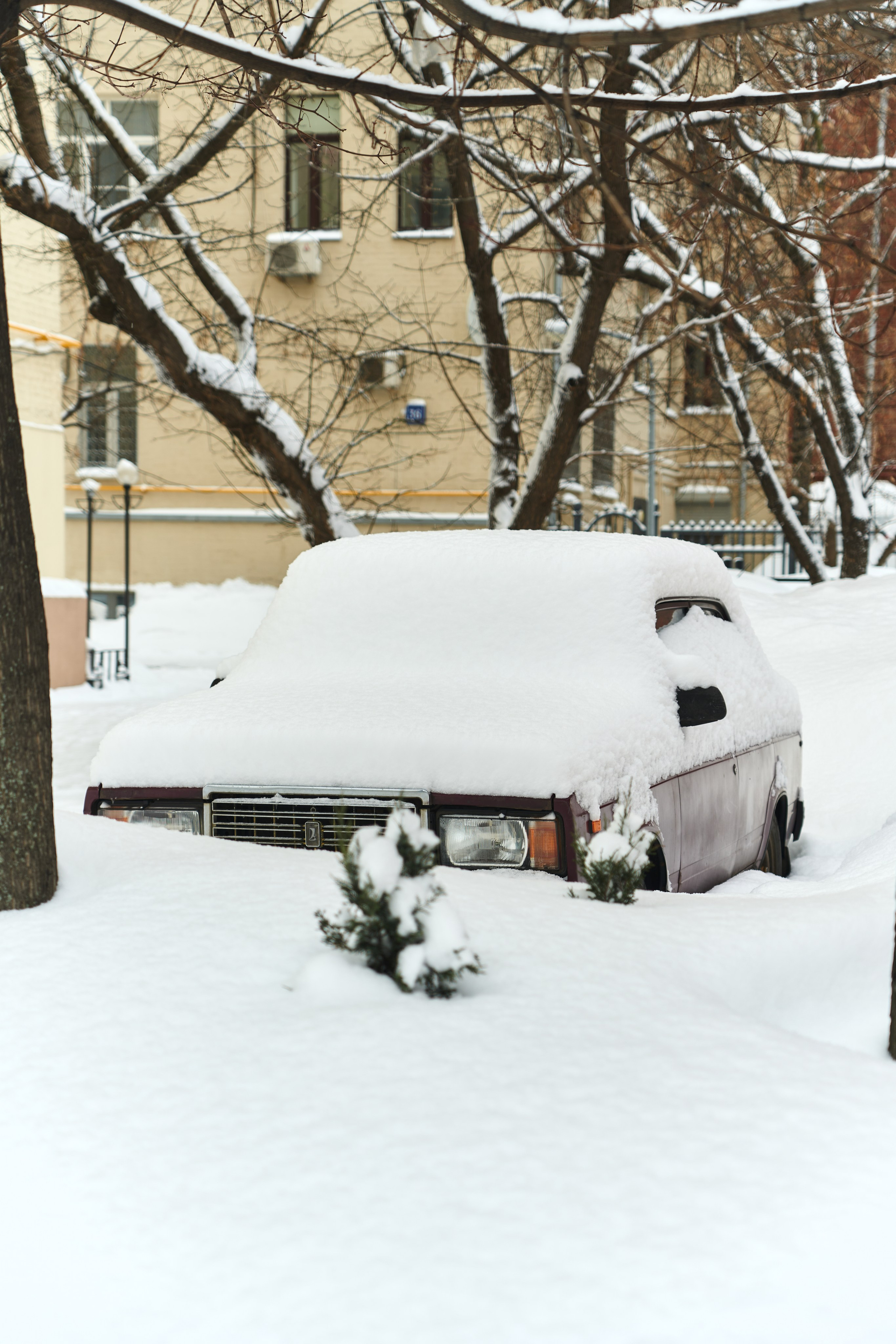 Москва | Зима 2025-206. GLAR