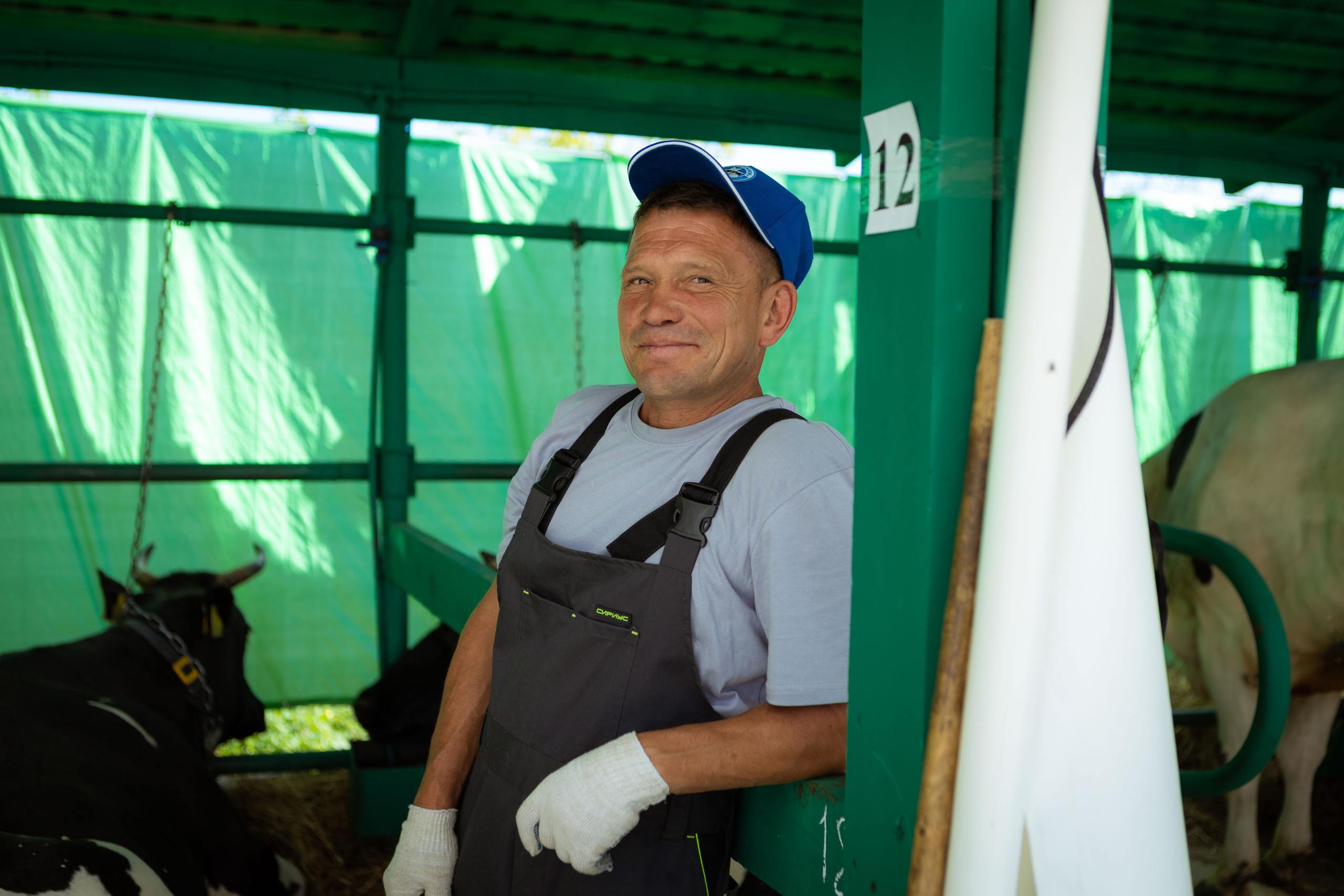 Конкурс операторов осеменения коров [17-18 августа 2022 г.]. Фотограф Виноградов Константин