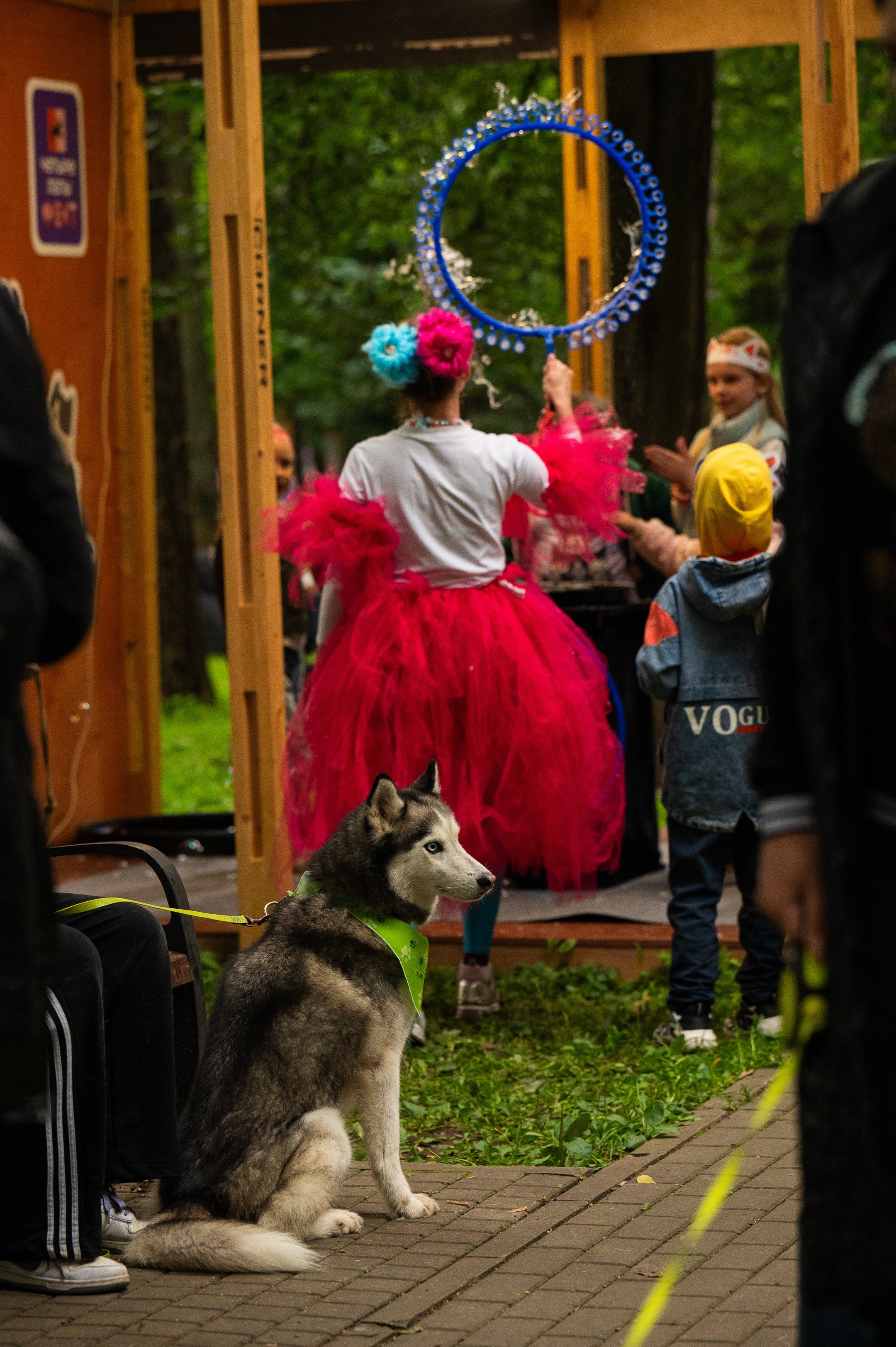 4lapy fest 2025. Photographer in Moscow Anna Chistiakova