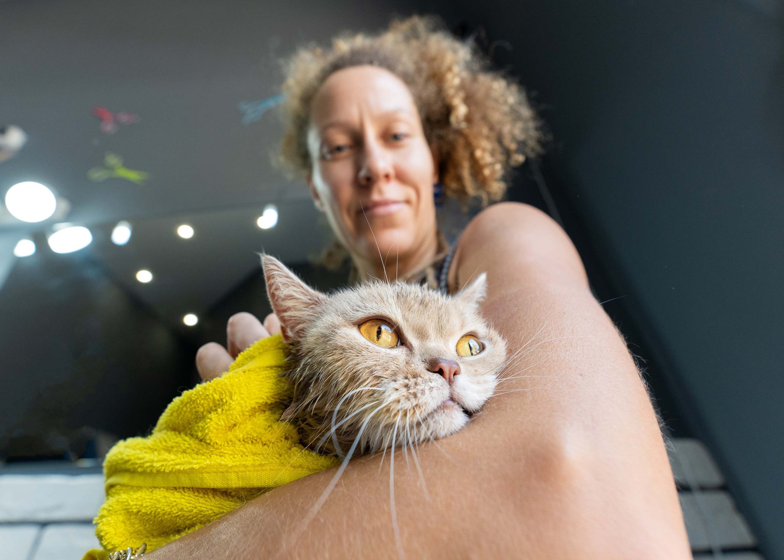 Фотограф анималист в Сочи — профессиональная съемка домашних животных. Профессиональная фотосъемка в Сочи: репортаж, предметная, ювелирная фотосъемка, недвижимость, фуд-фотография. Фотограф Александр Афанасьев