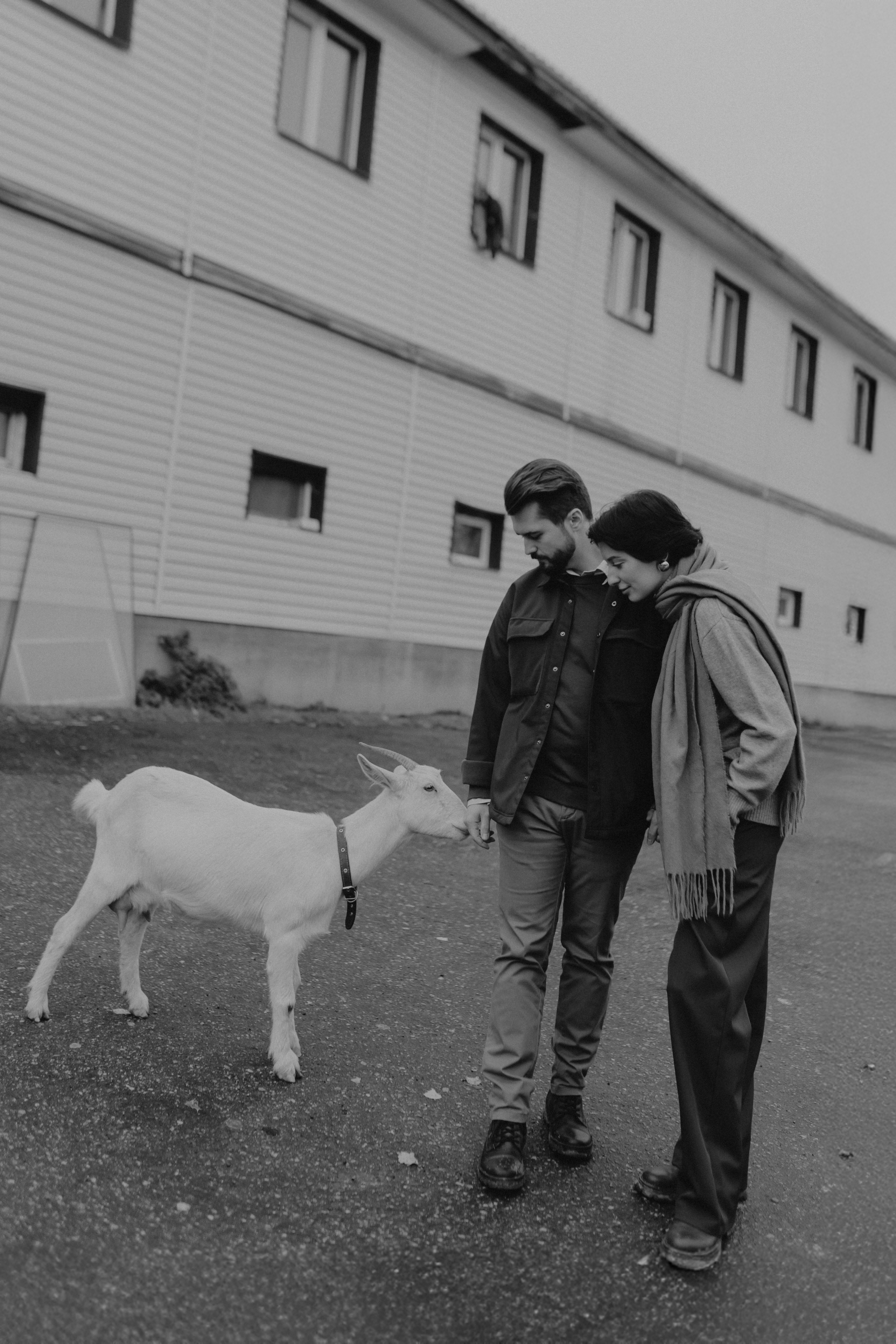 Диана и Антон. Свадебный и семейный фотограф Женя Добрянская в Нижнем Новгороде