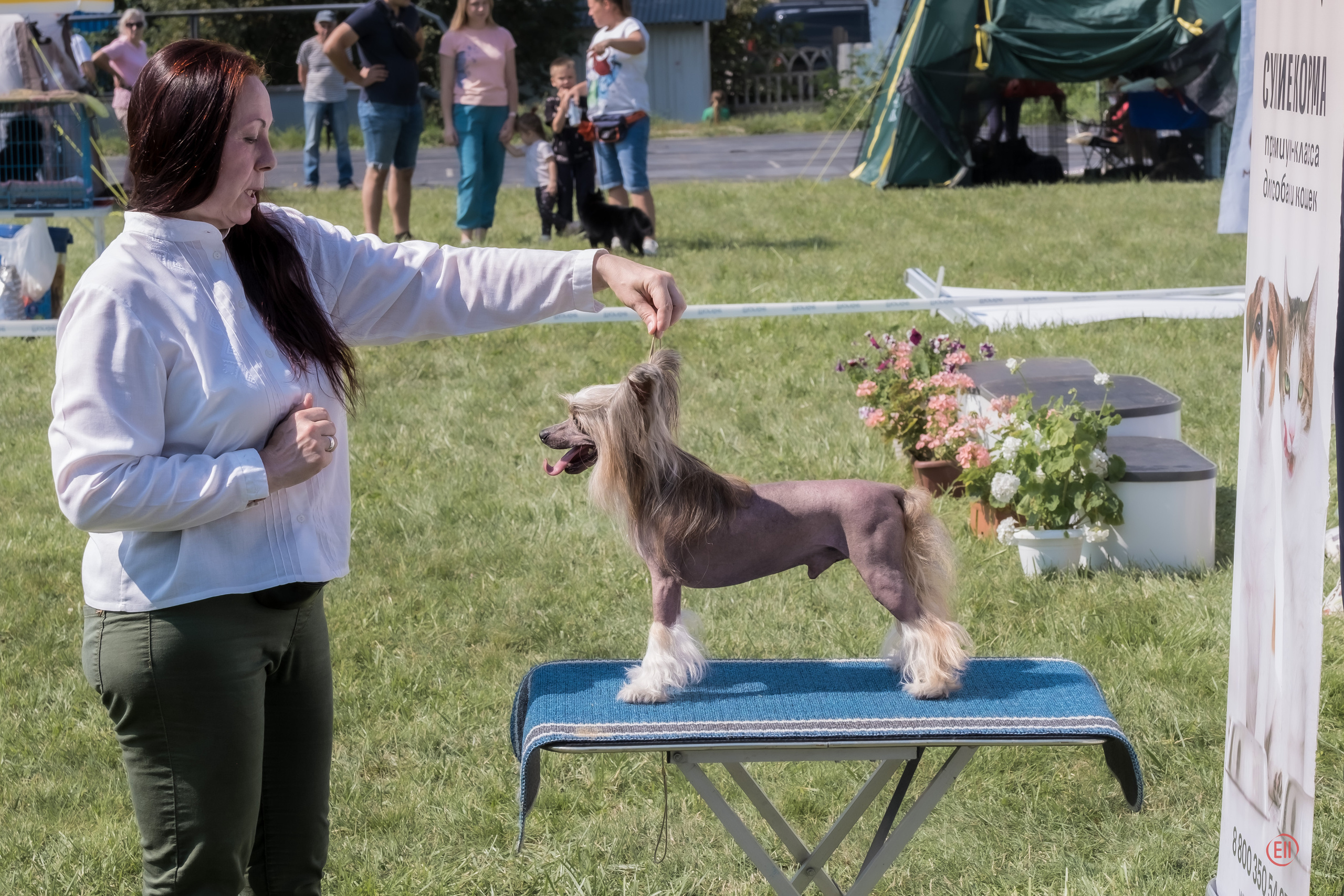 Тула 20.08.2023. Фотограф в Москве