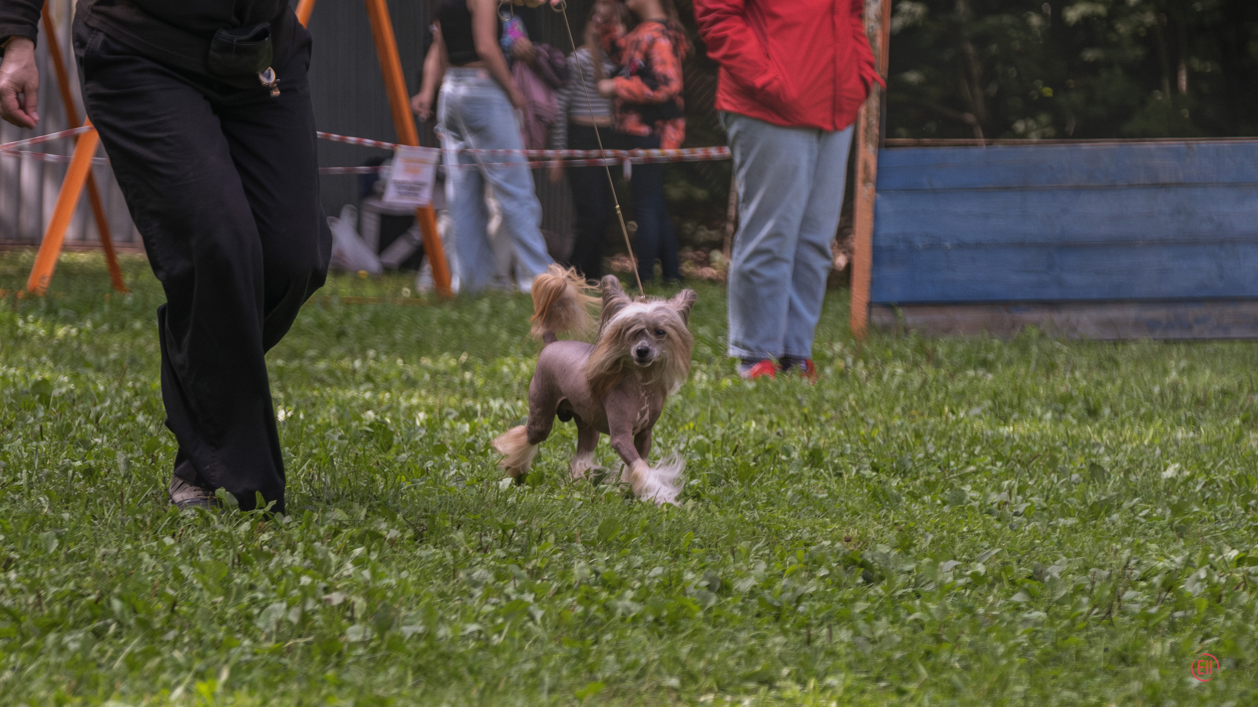 Ясенево 27.08.2023. Фотограф в Москве
