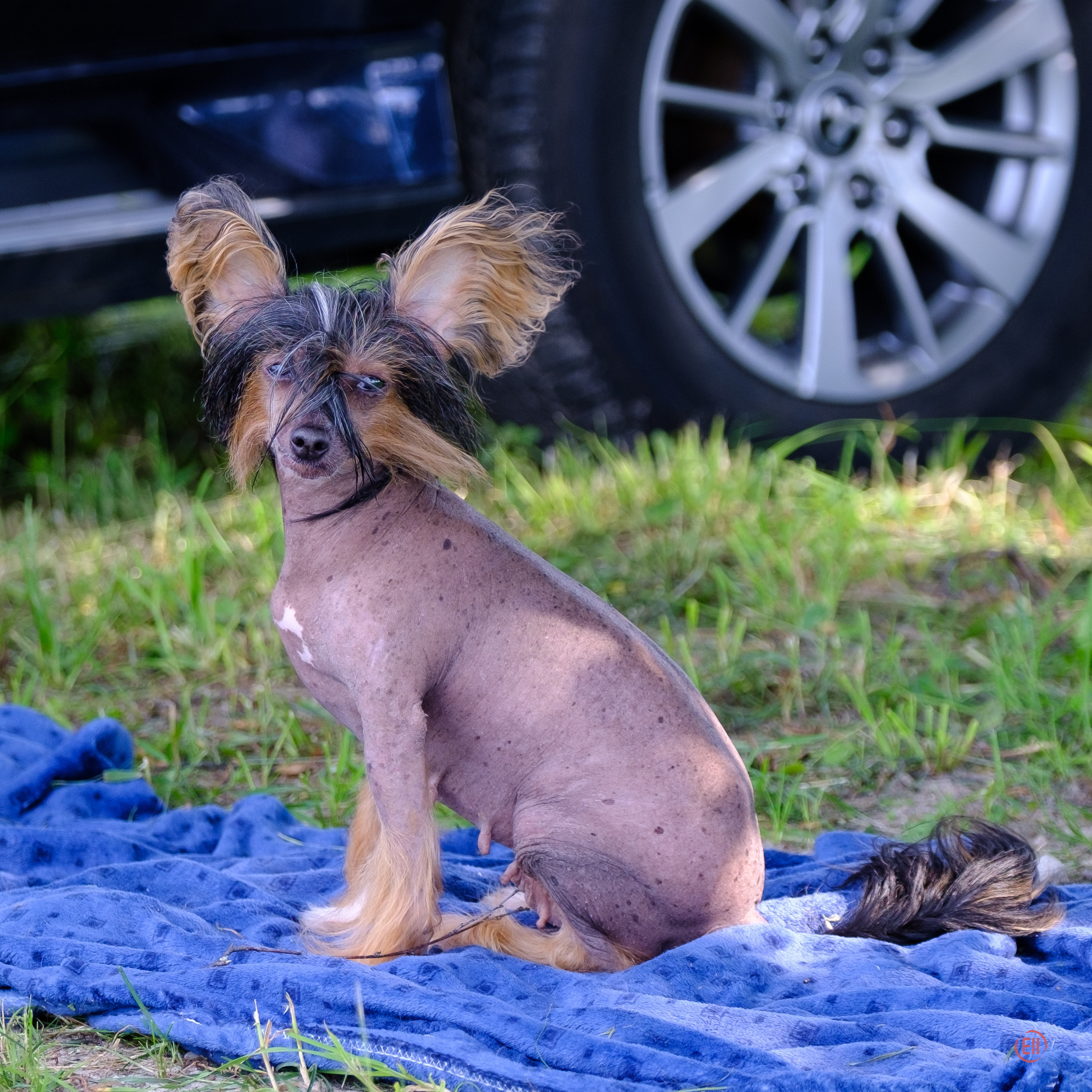 Poale Ell 24.06.2020. Фотограф в Москве