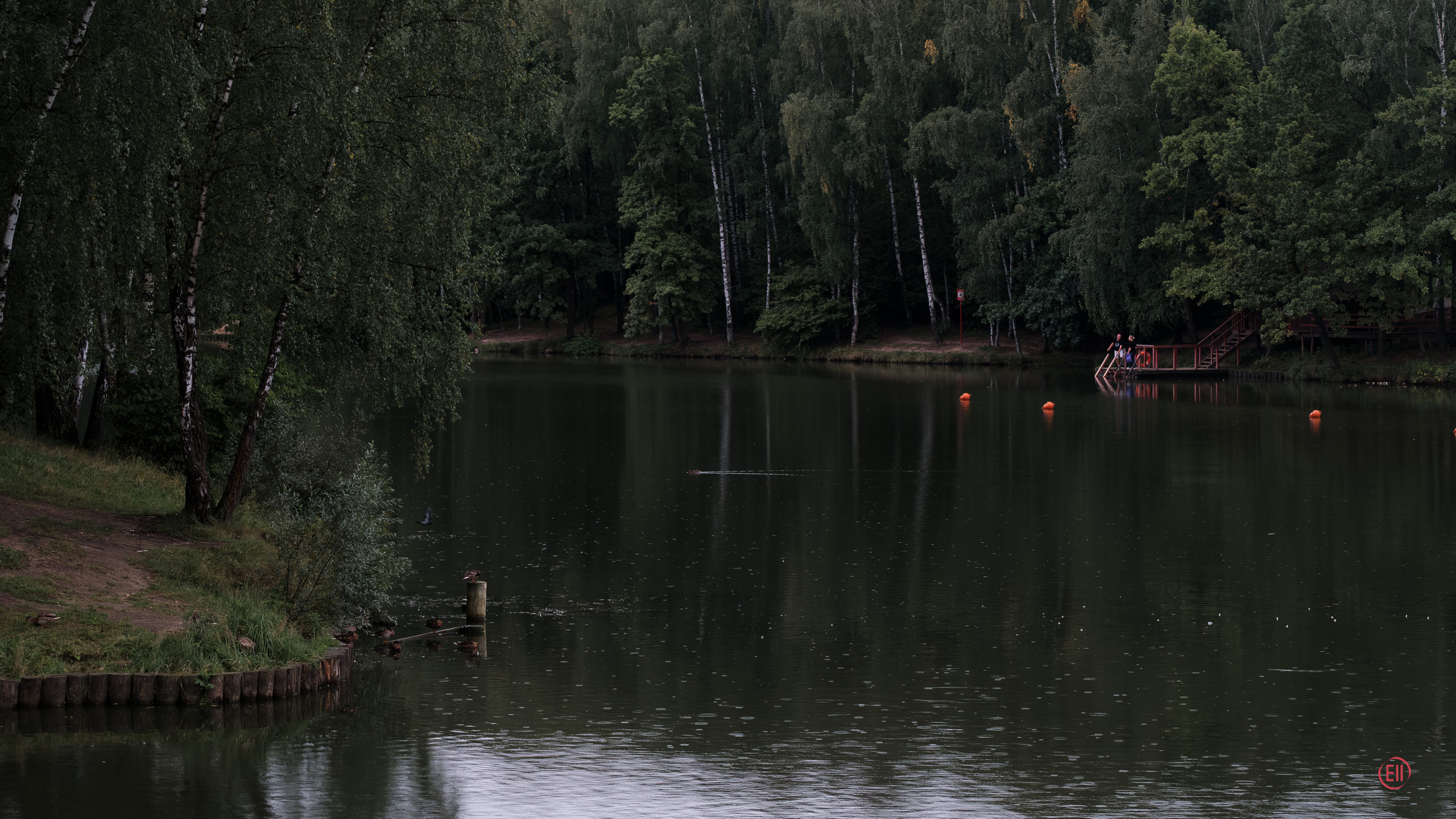 Летний дождь на озере в парке Тропарёво.