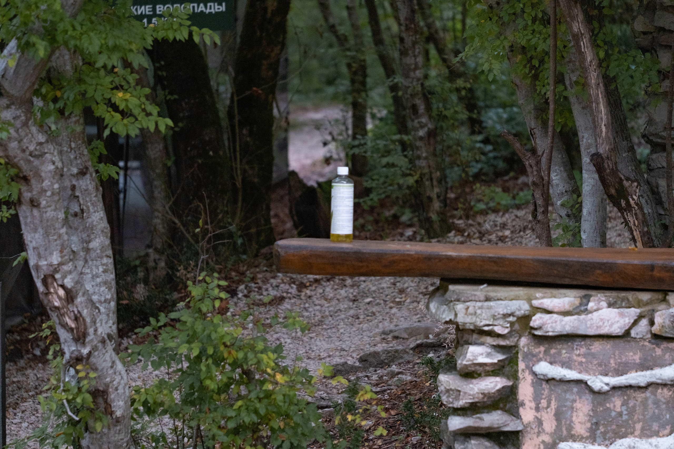 Сочи. Орлиные скалы. 30.10.2022. Фотограф в Москве