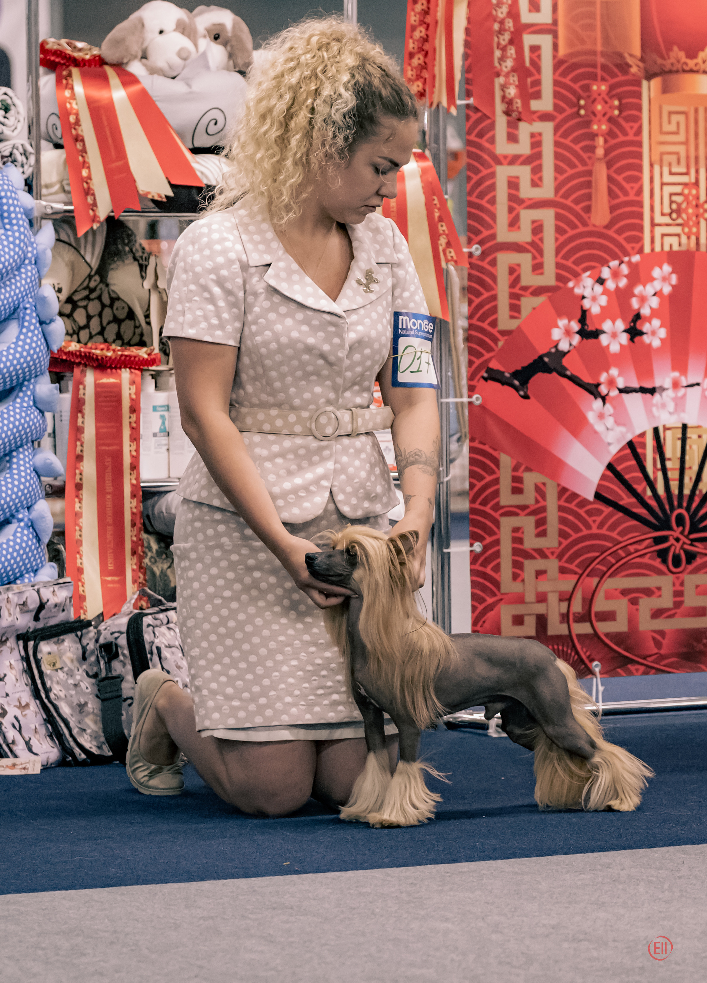 Национальная Выставка Породы 27.05.2023. Фотограф в Москве