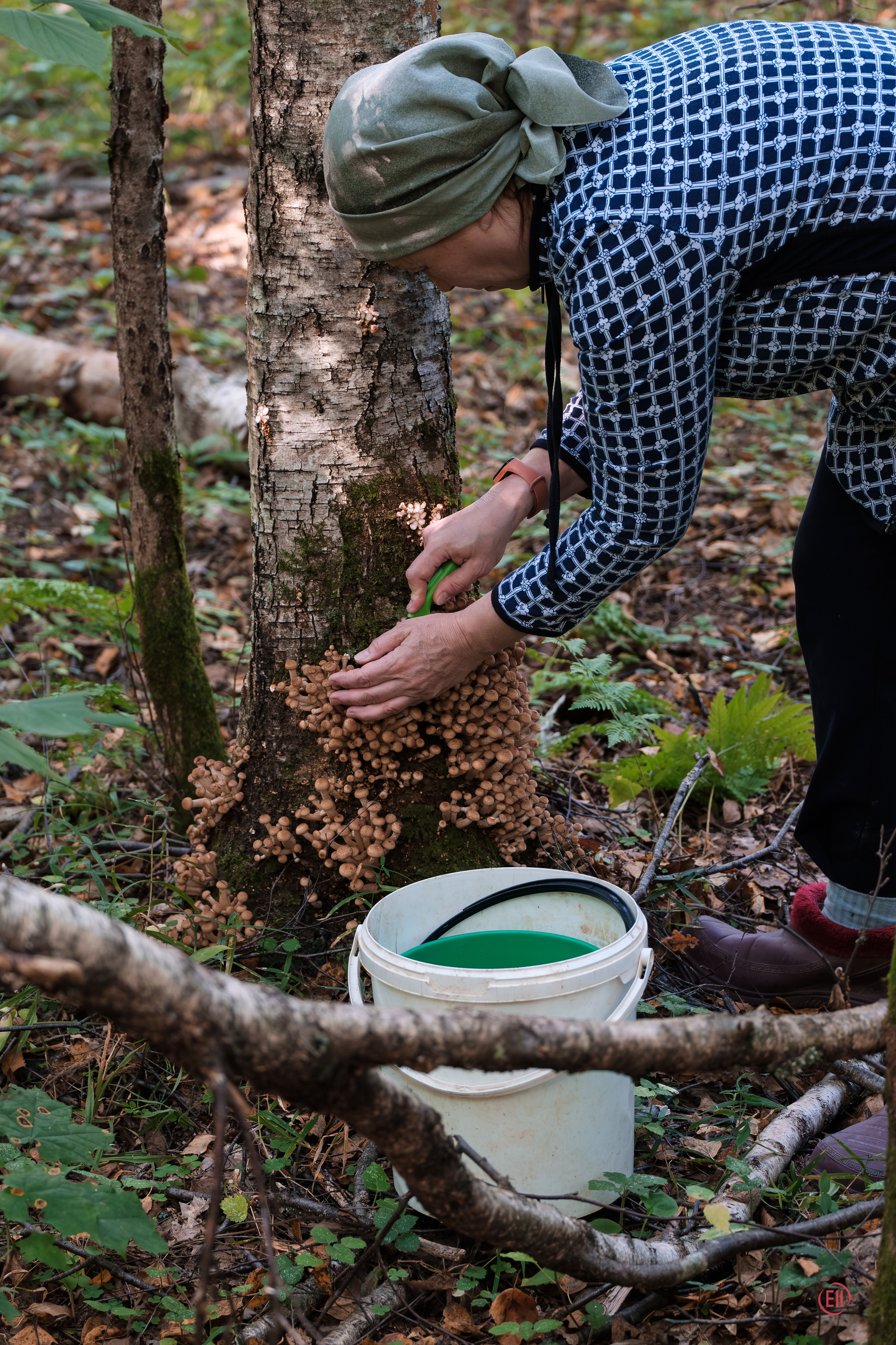 За грибами 13.09.2023. Фотограф в Москве
