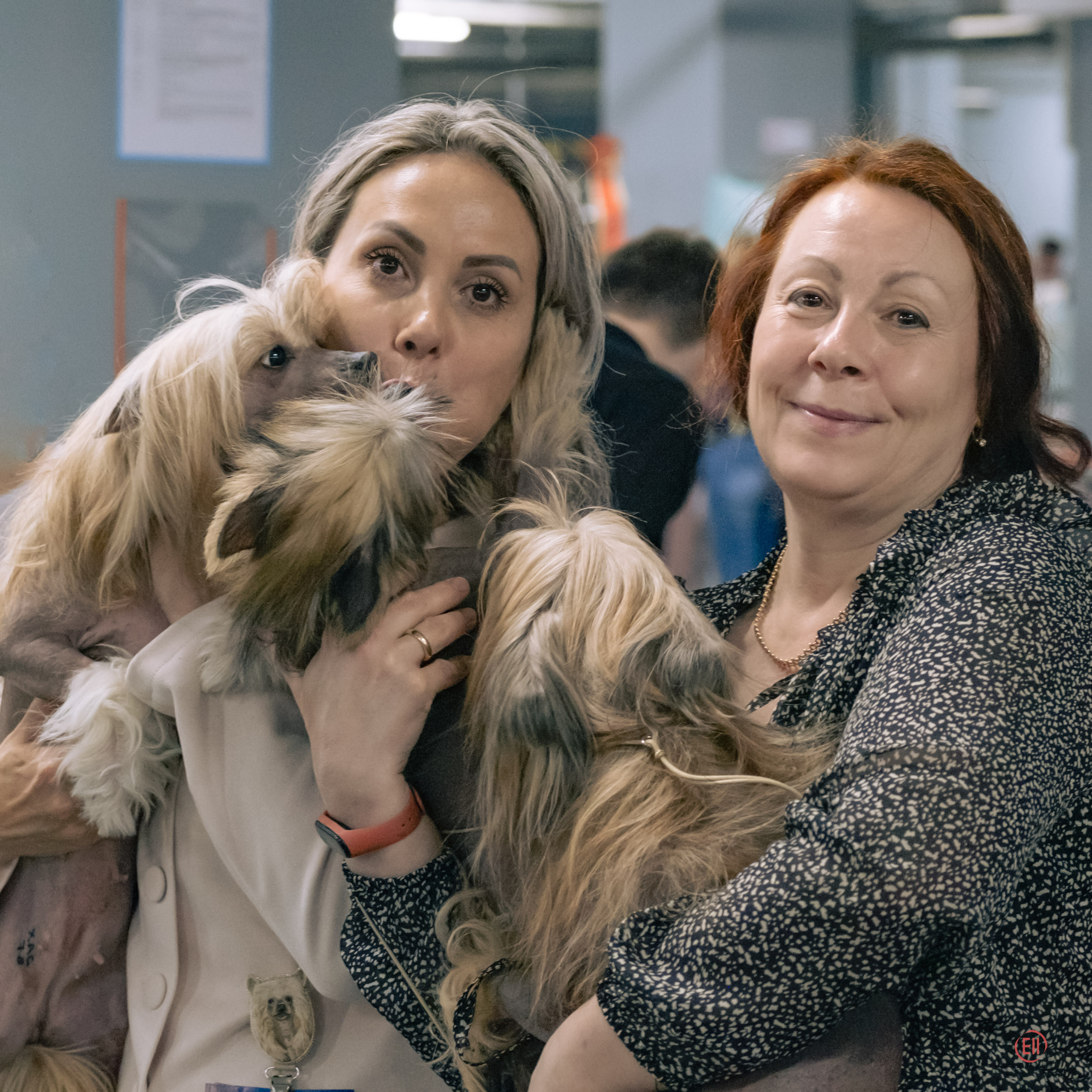 Национальная Выставка Породы 27.05.2023. Фотограф в Москве