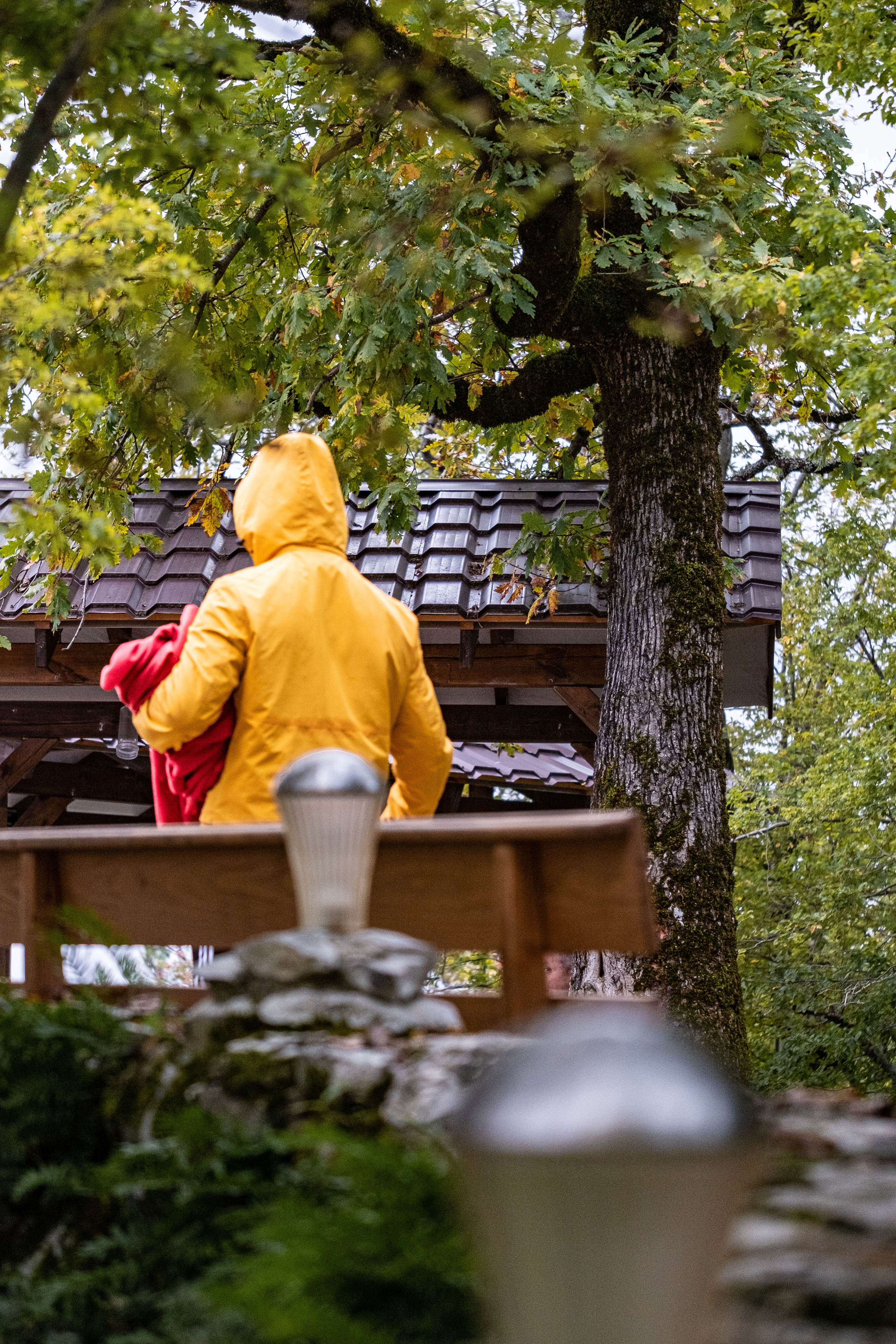Сочи. Орлиные скалы. 30.10.2022. Фотограф в Москве