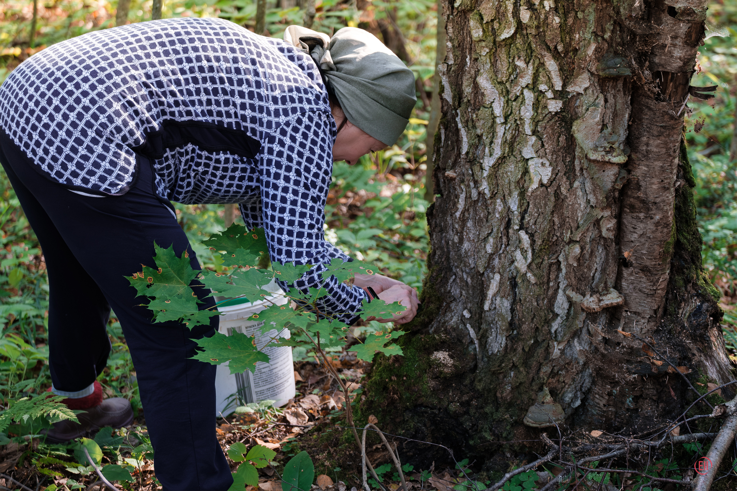 За грибами 13.09.2023. Фотограф в Москве