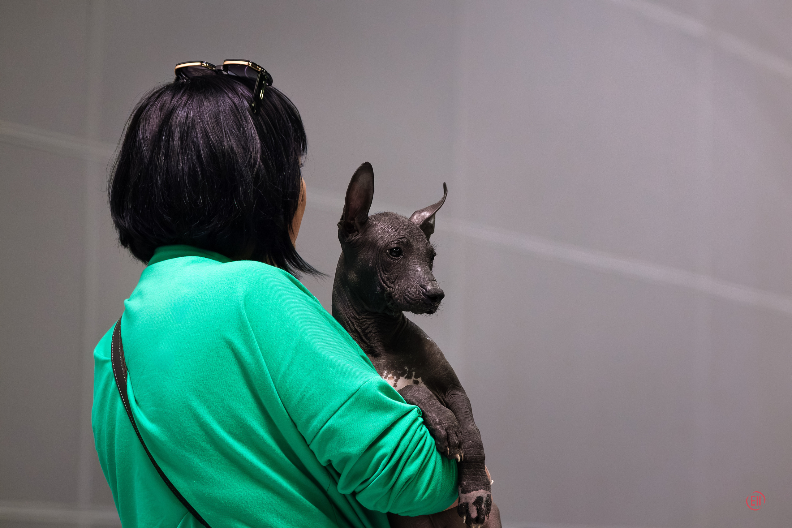 Крокус Экспо 30.09.2023. Фотограф в Москве