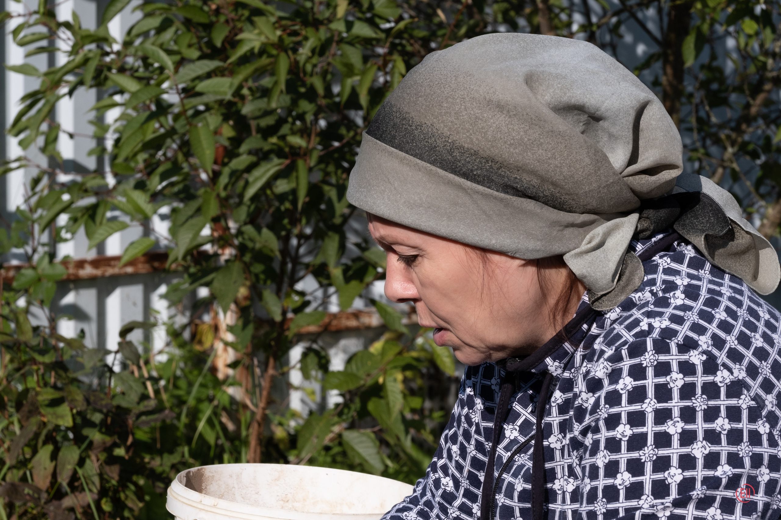 За грибами 13.09.2023. Фотограф в Москве