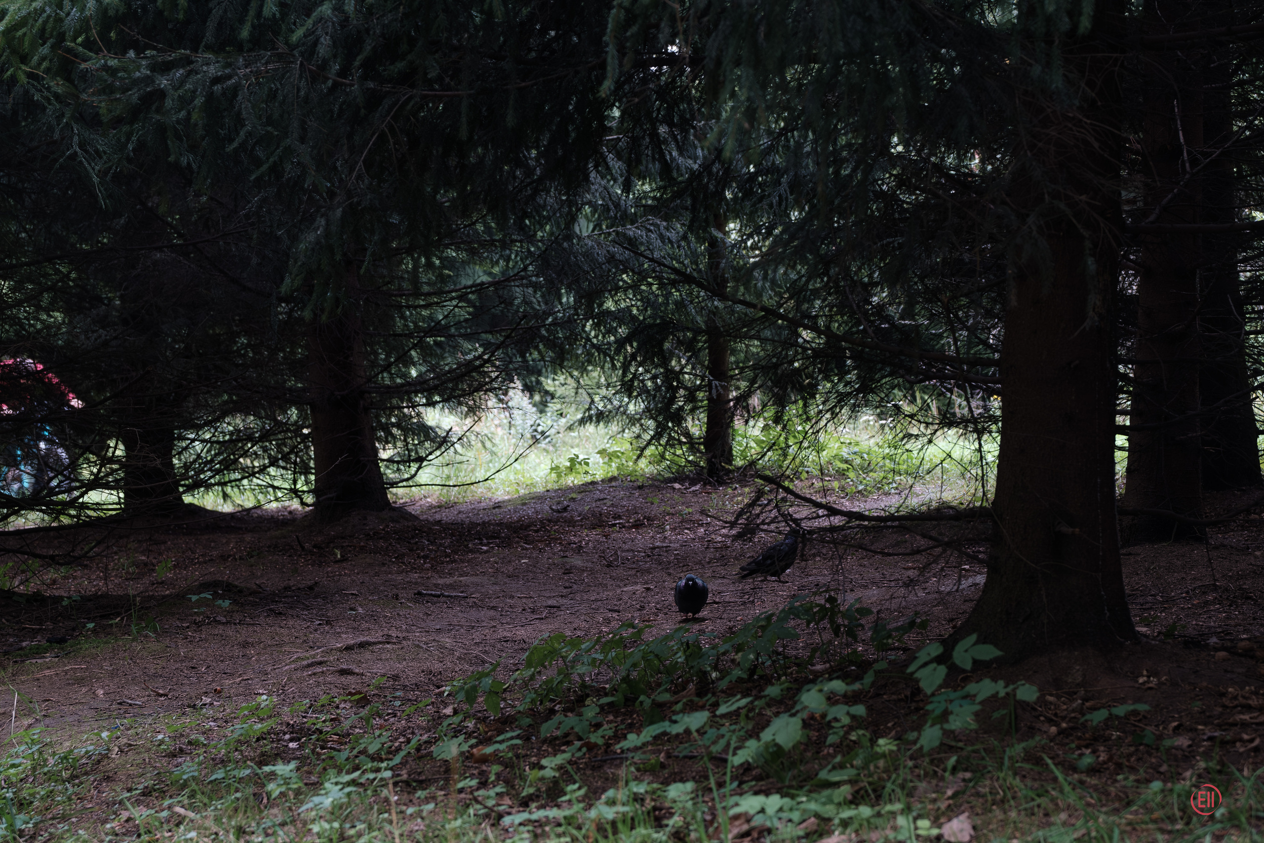 Парк Тропарёво 26.08.2023. Фотограф в Москве