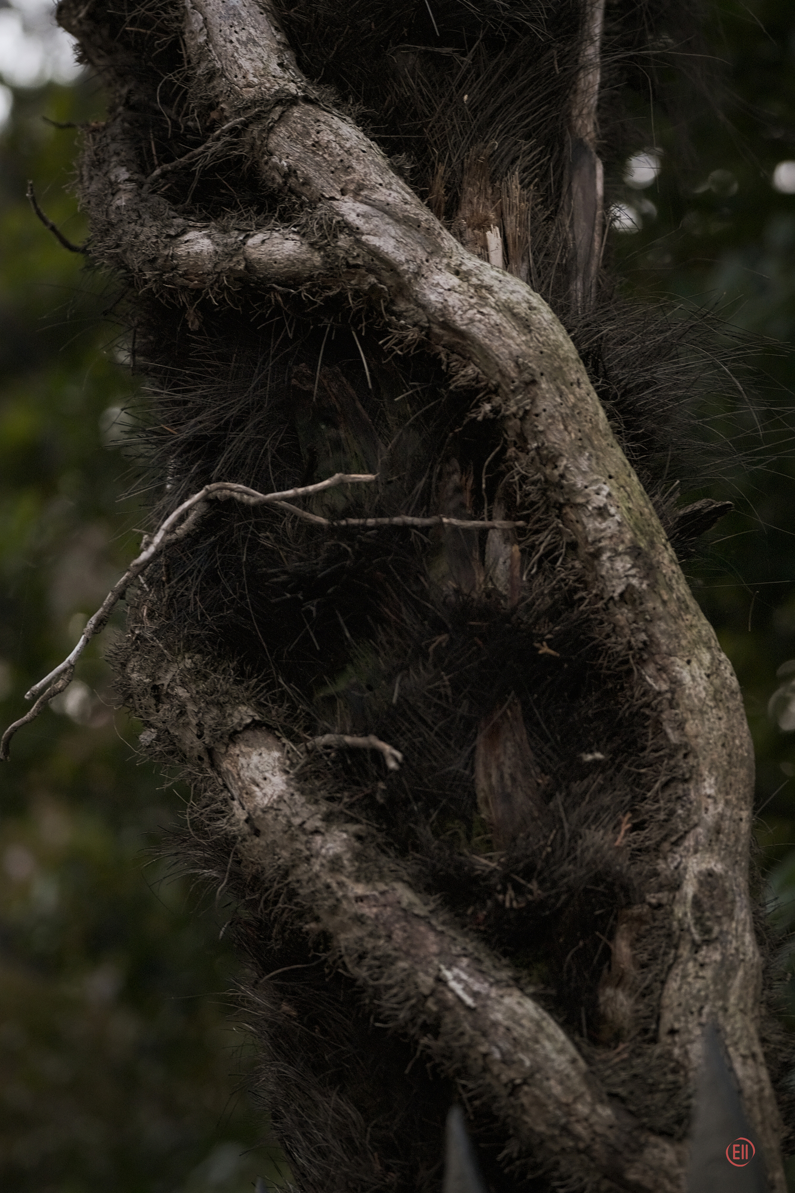 Сочи. Орлиные скалы. 30.10.2022. Фотограф в Москве