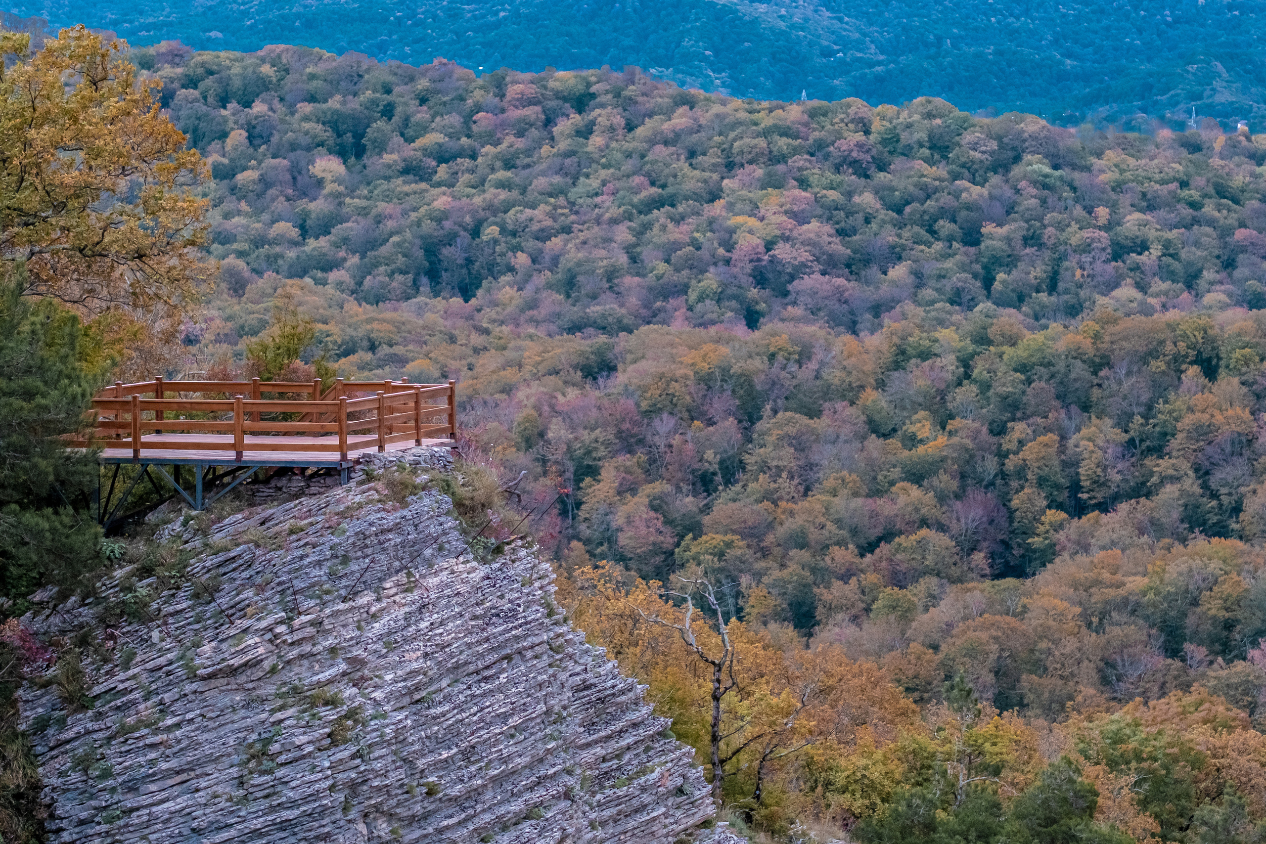 Сочи. Орлиные скалы. 30.10.2022. Фотограф в Москве