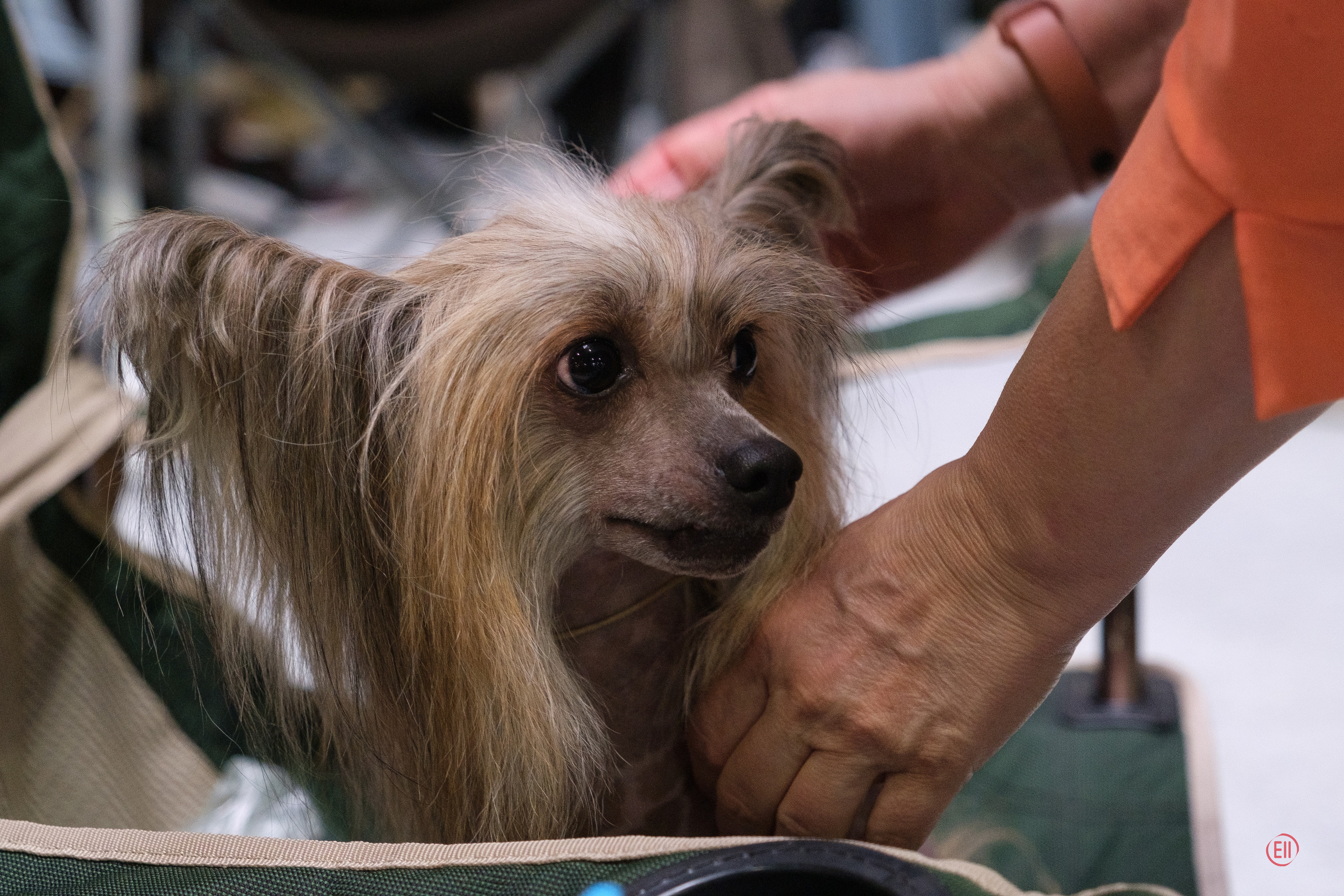 Крокус Экспо 30.09.2023. Фотограф в Москве