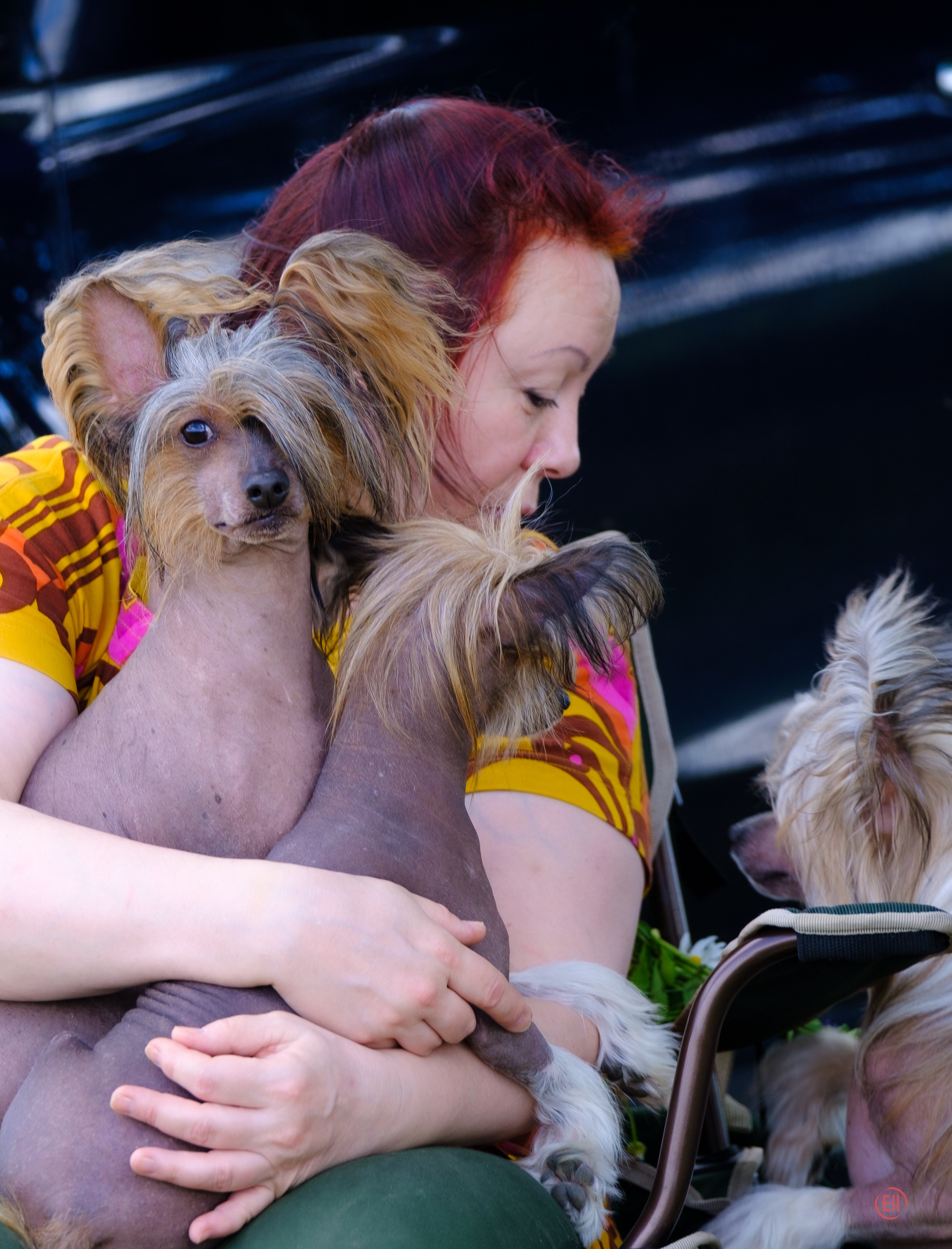 Poale Ell 24.06.2020. Фотограф в Москве