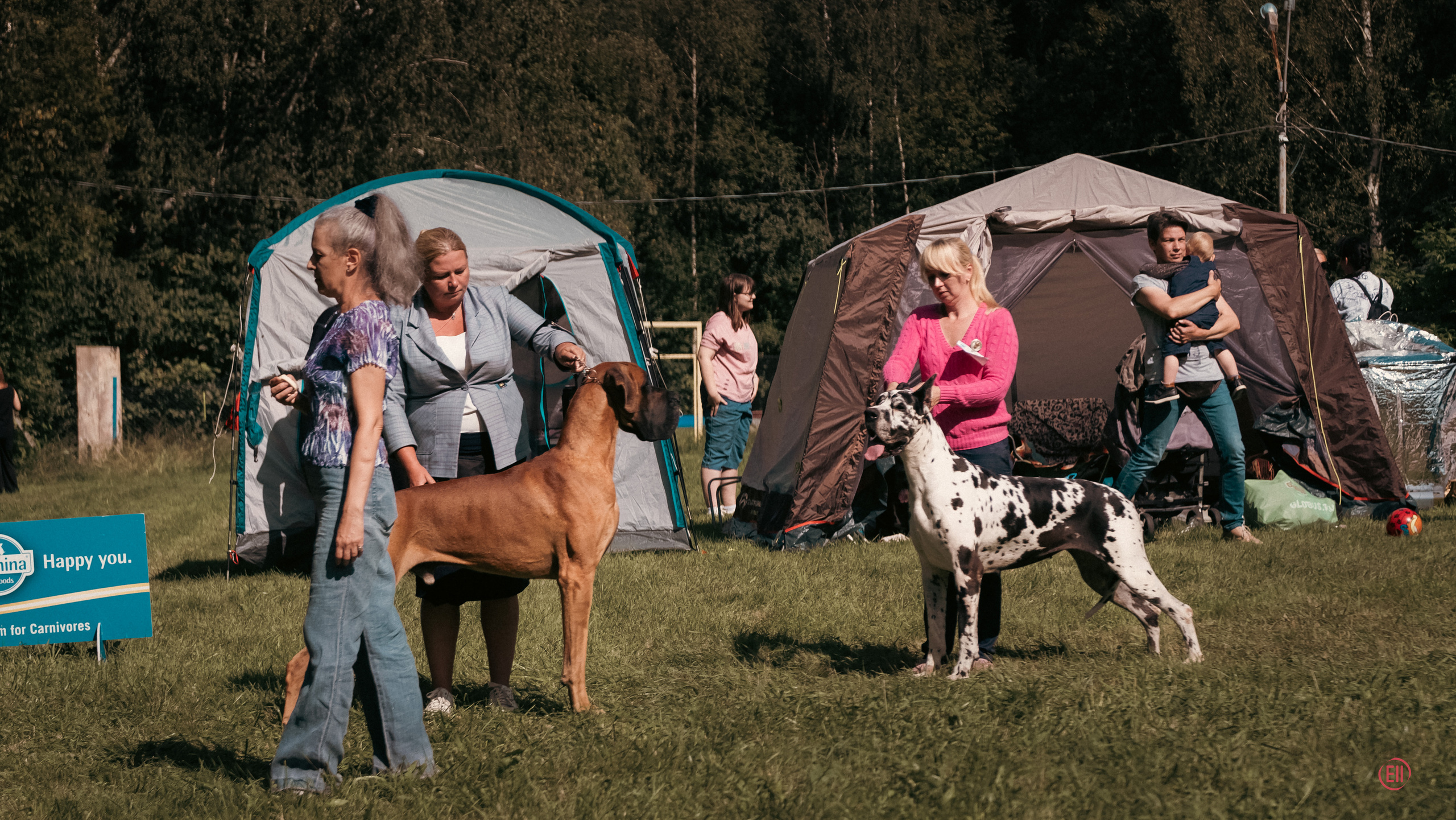 Ясенево 27.08.2023. Фотограф в Москве
