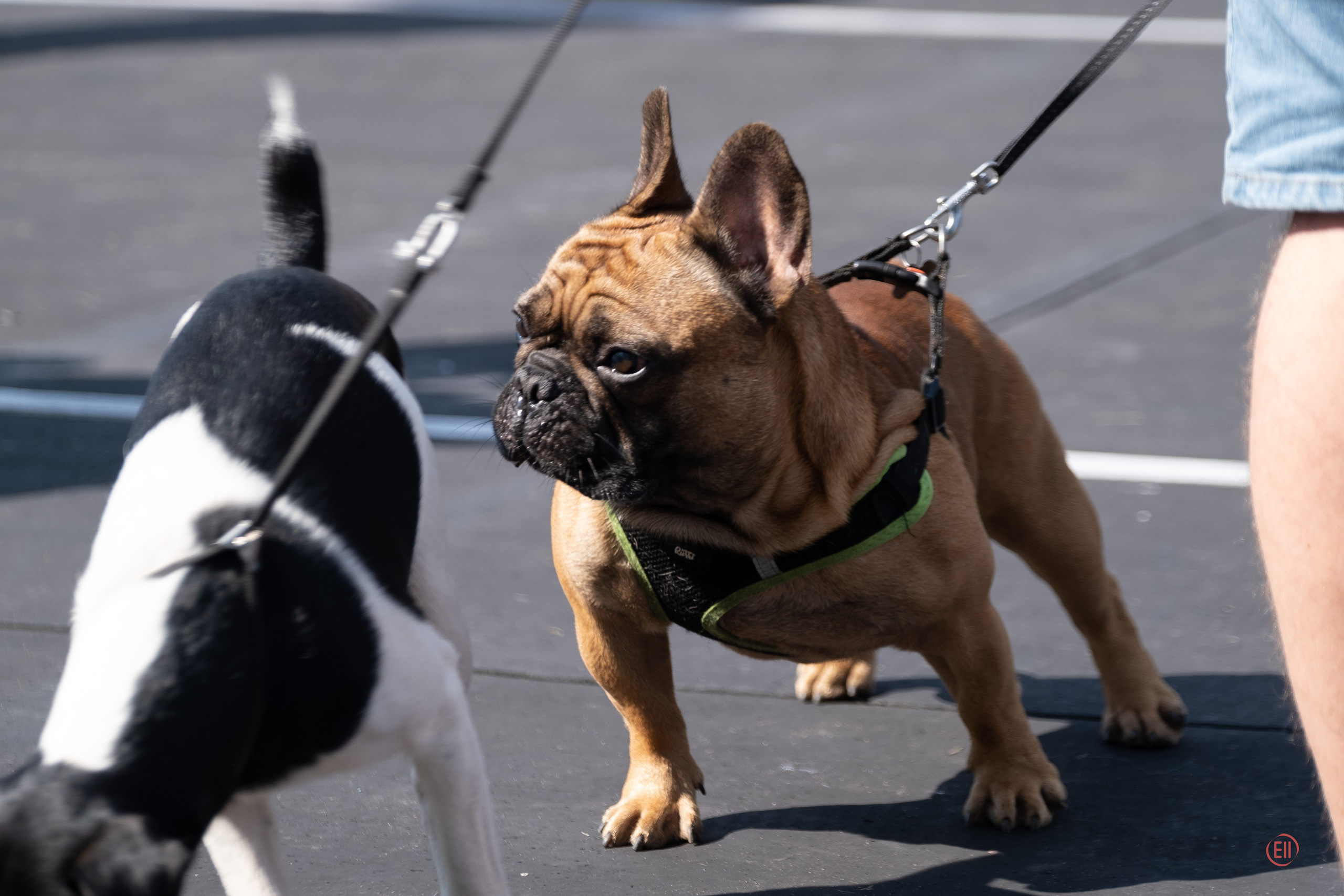 Тула 20.08.2023. Фотограф в Москве
