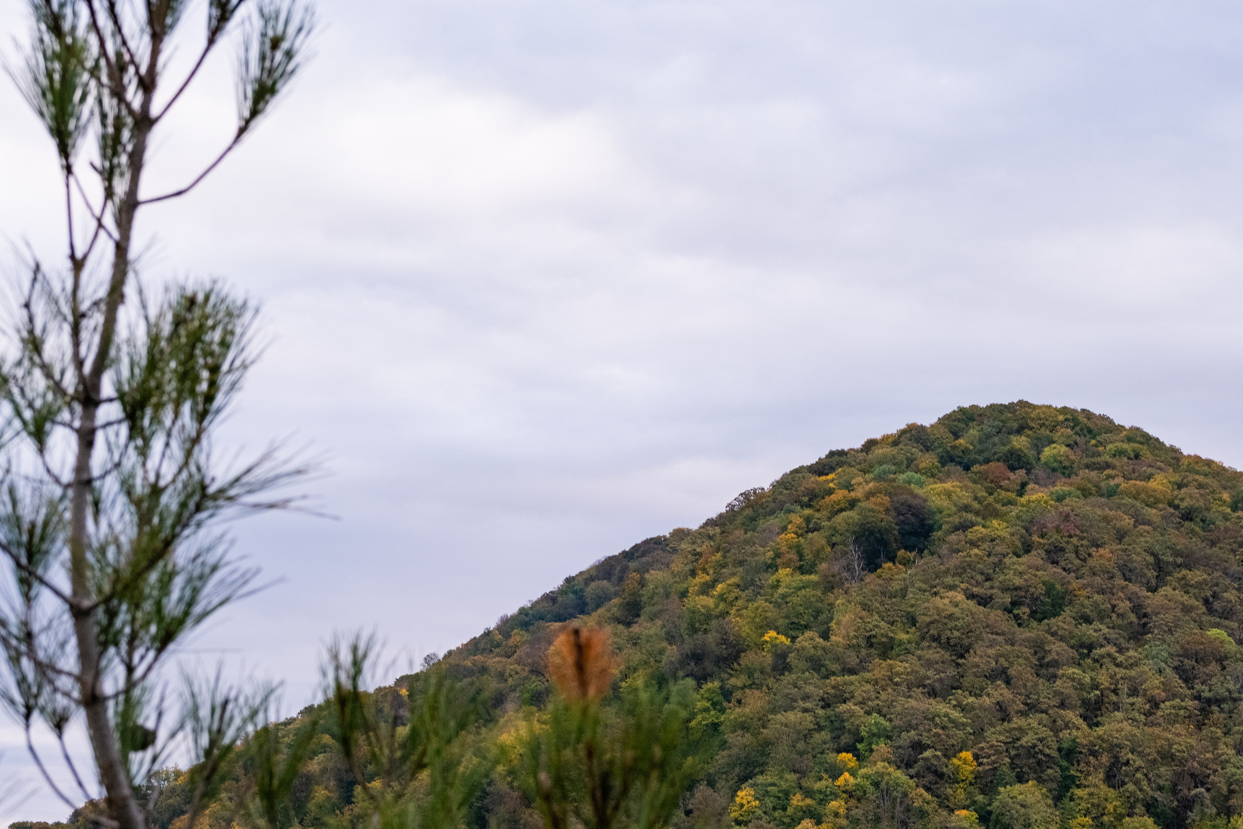 Сочи. Орлиные скалы. 30.10.2022. Фотограф в Москве