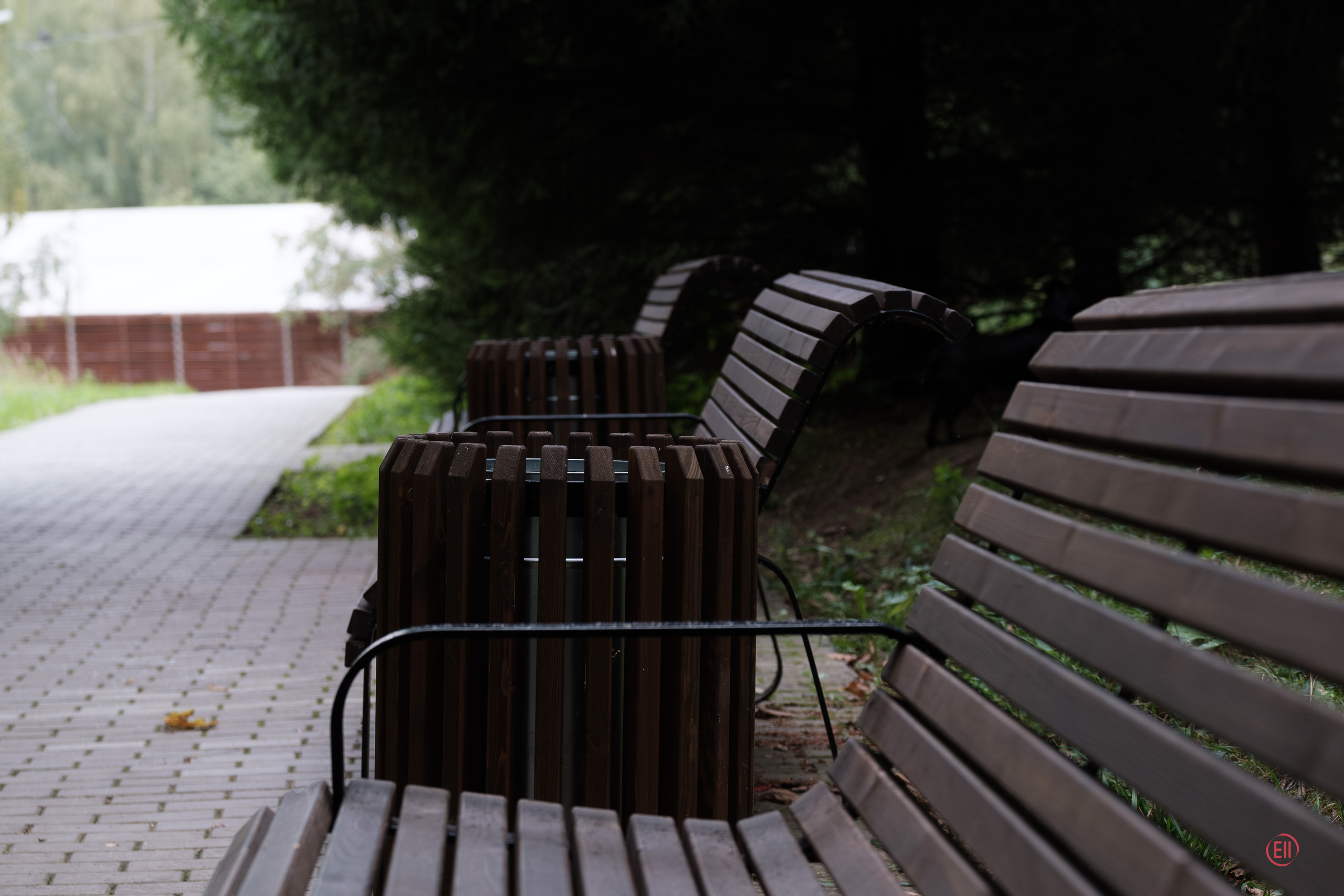 Парк Тропарёво 26.08.2023. Фотограф в Москве