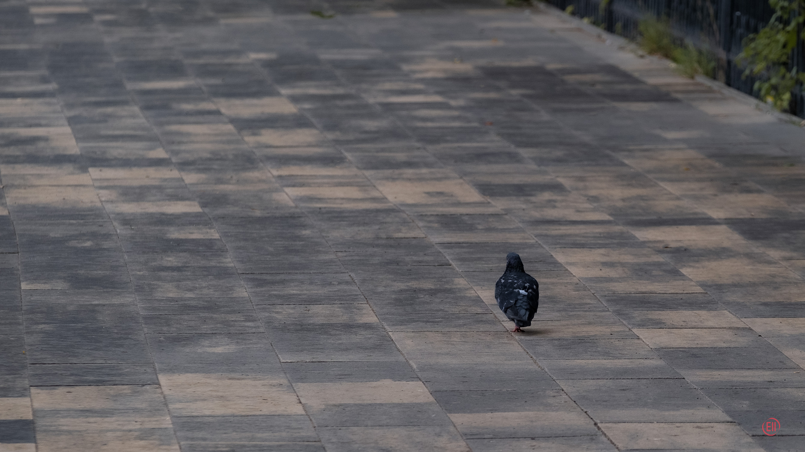 Парк Тропарёво 26.08.2023. Фотограф в Москве