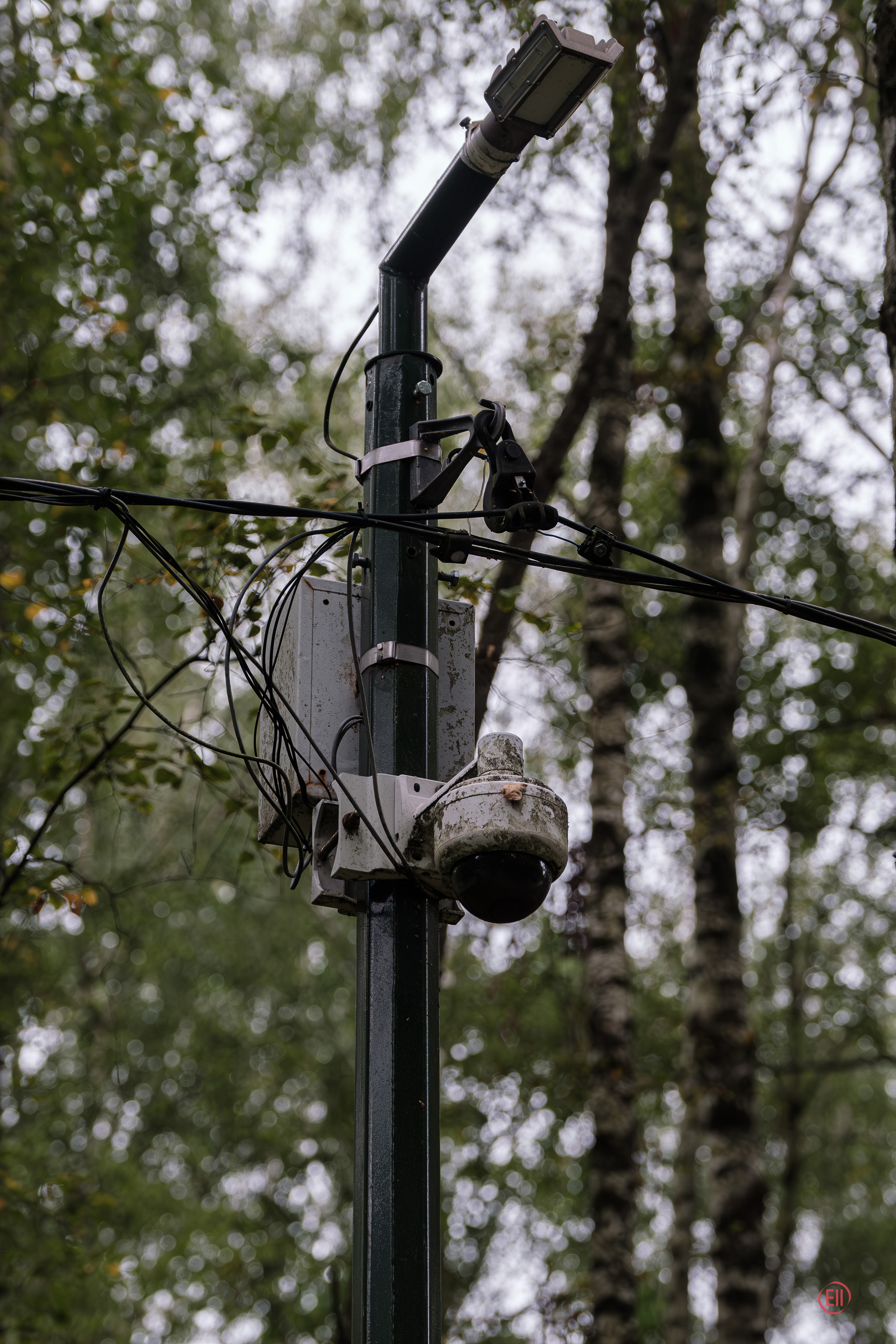 Парк Тропарёво 26.08.2023. Фотограф в Москве