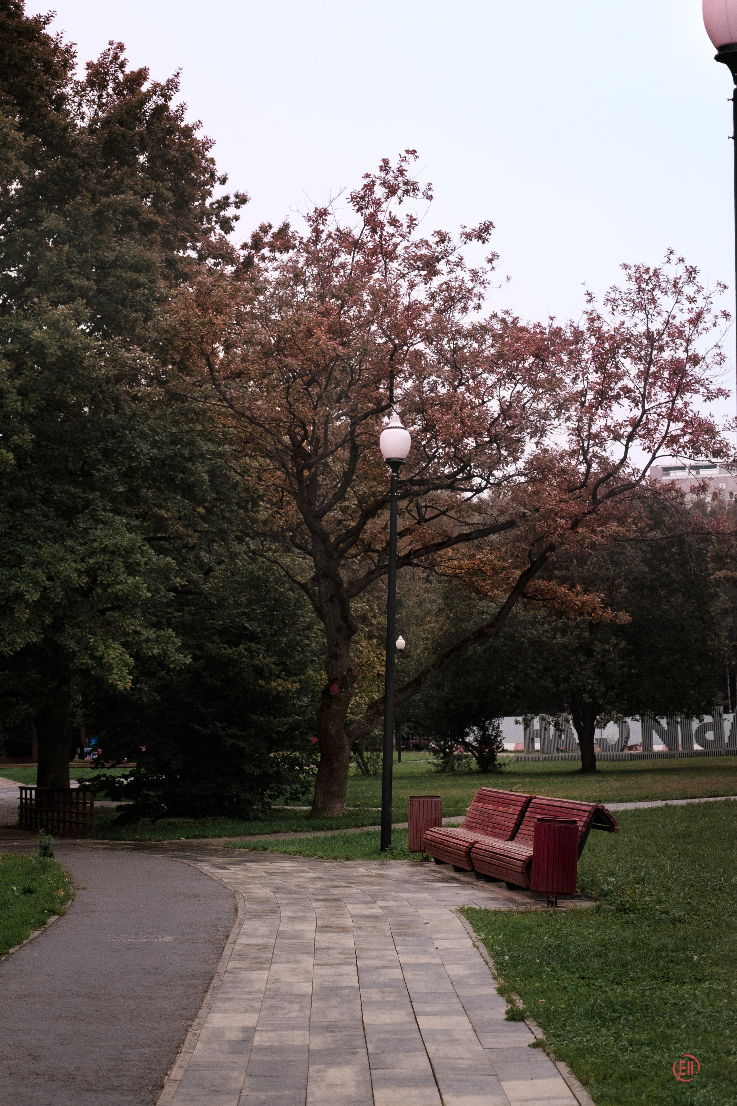 Парк Тропарёво 26.08.2023. Фотограф в Москве