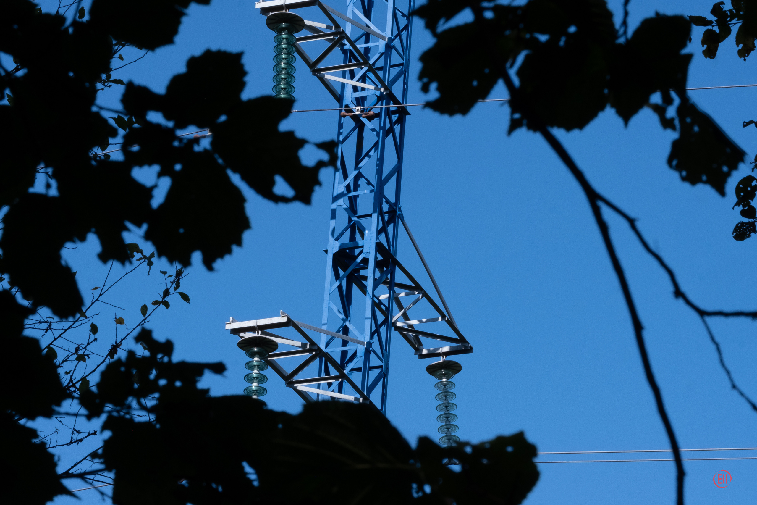 За грибами 13.09.2023. Фотограф в Москве