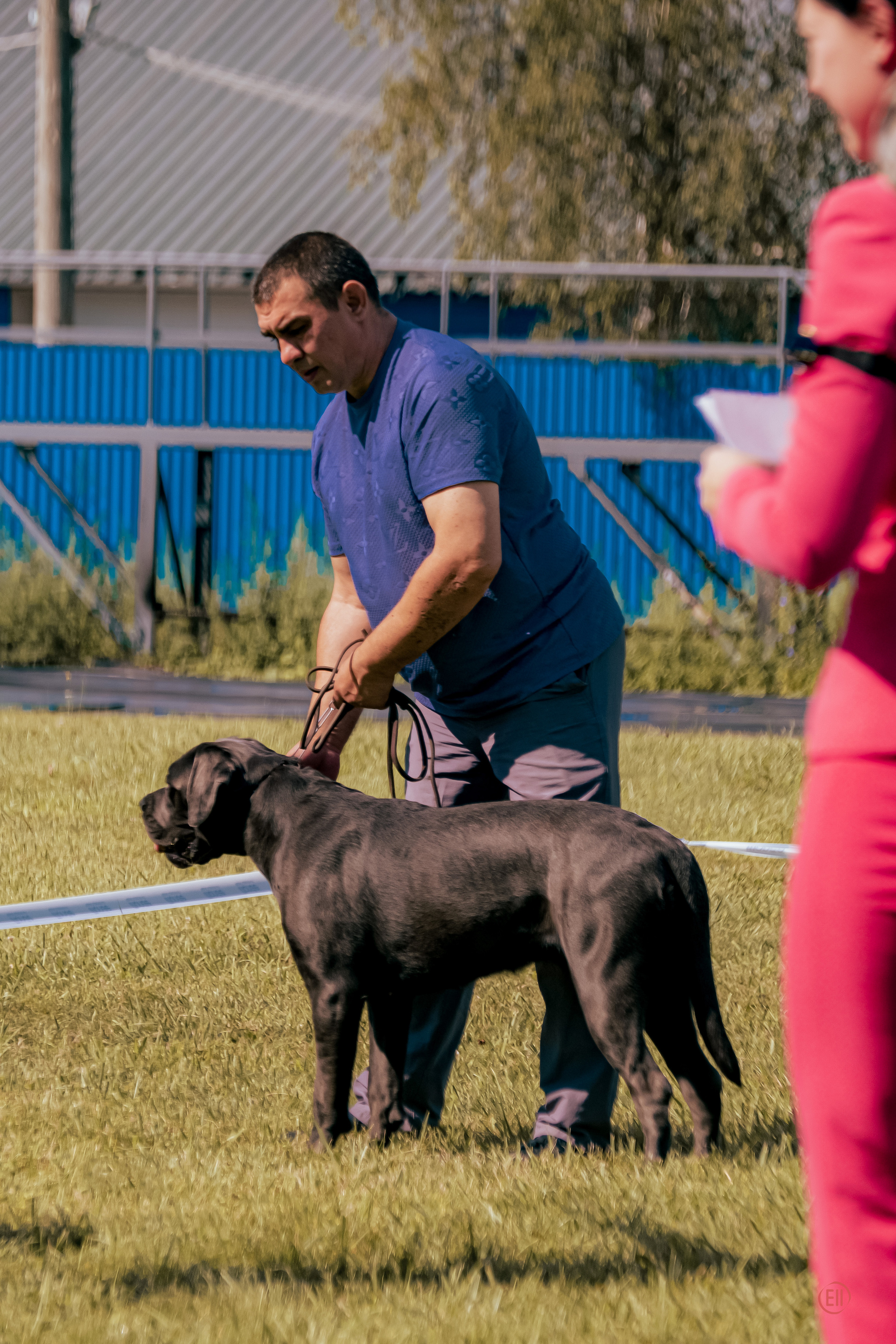 Тула 20.08.2023. Фотограф в Москве