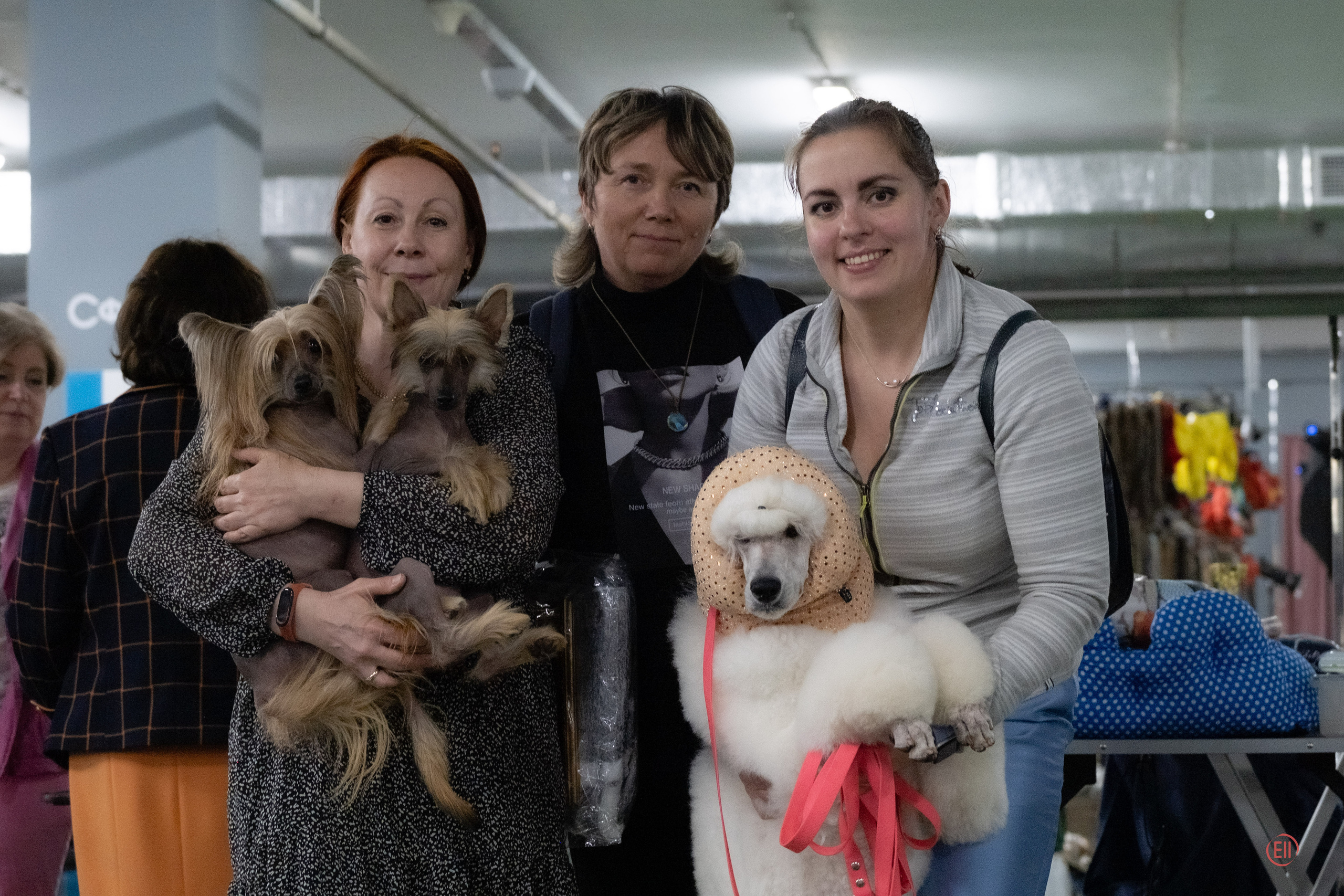 Национальная Выставка Породы 27.05.2023. Фотограф в Москве
