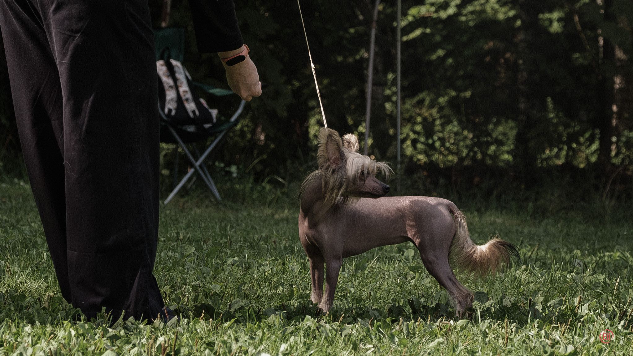 Ясенево 27.08.2023. Фотограф в Москве