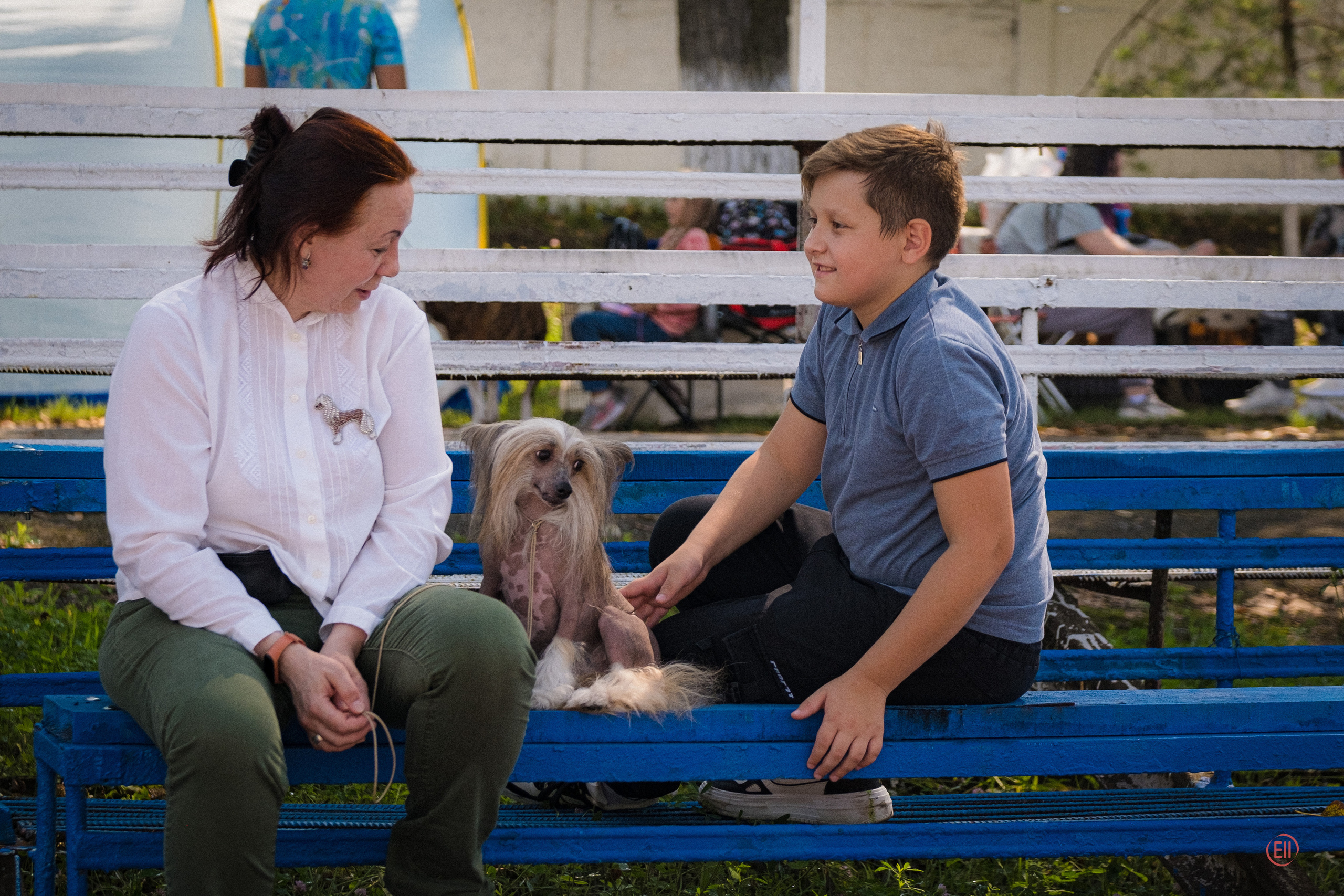 Тула 20.08.2023. Фотограф в Москве