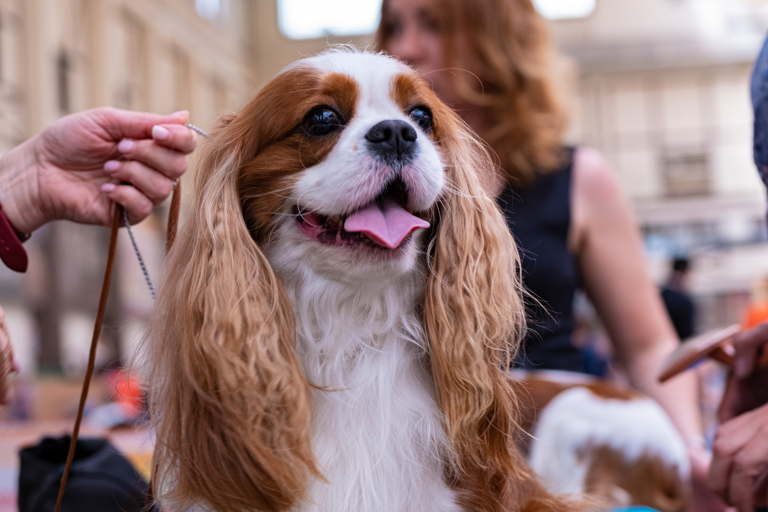 Мазовер 13.06.2021. Фотограф в Москве