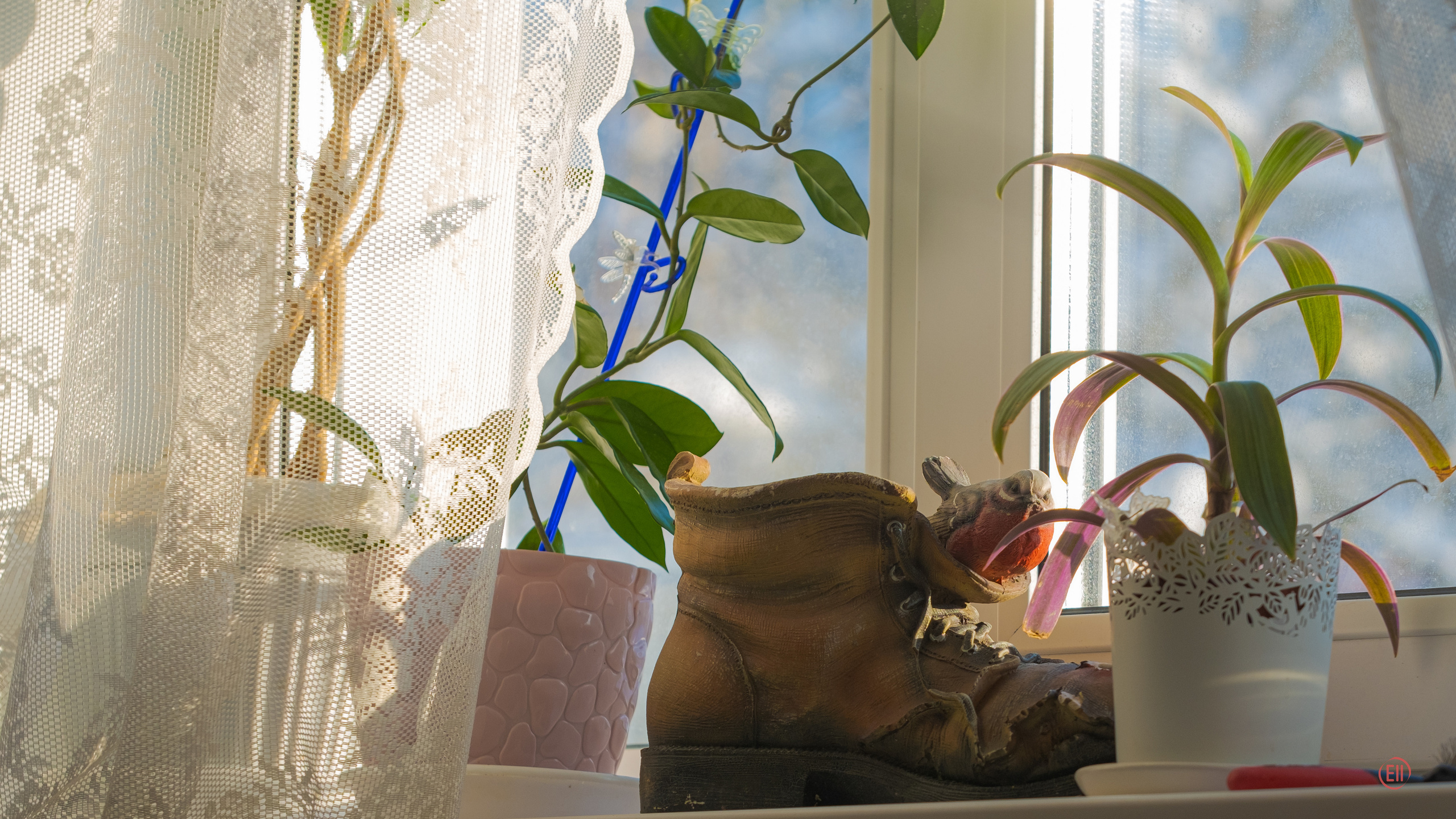 Шоу Галактика 17.01.2021. Фотограф в Москве