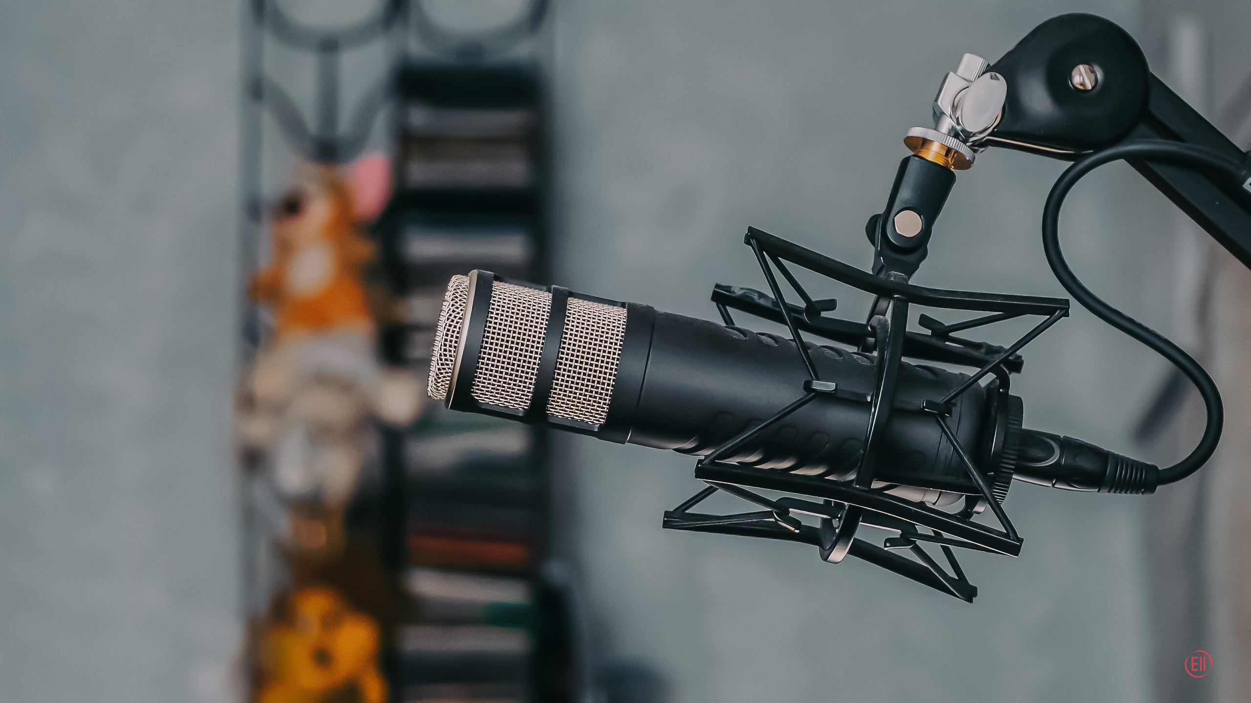 Rode. Фотограф в Москве