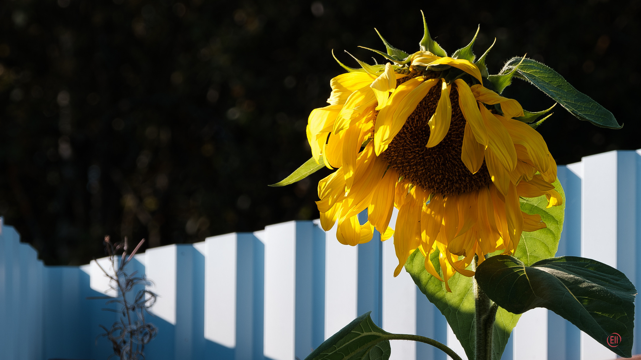 За грибами 13.09.2023. Фотограф в Москве