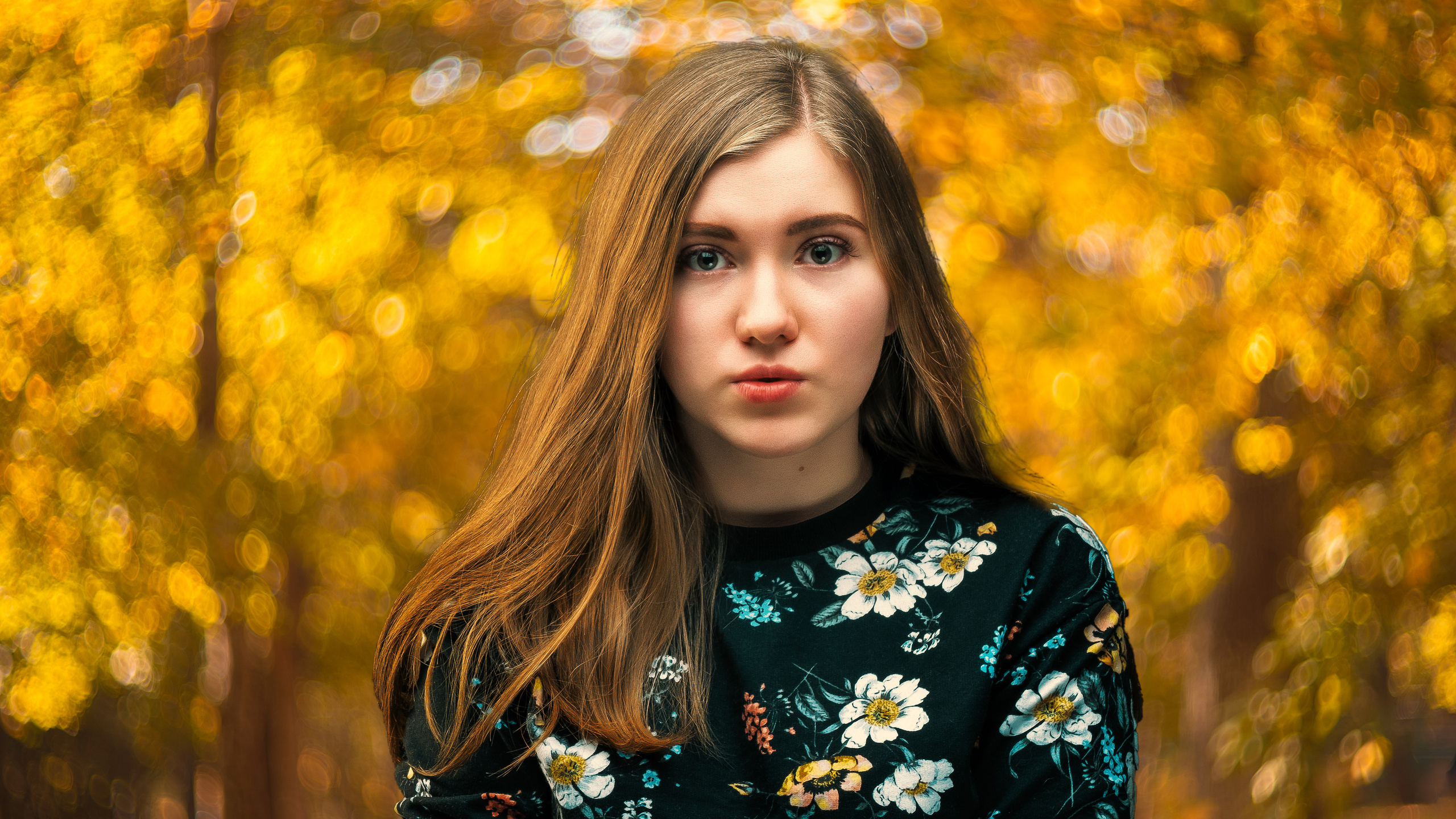 О новом. Фотограф в Москве