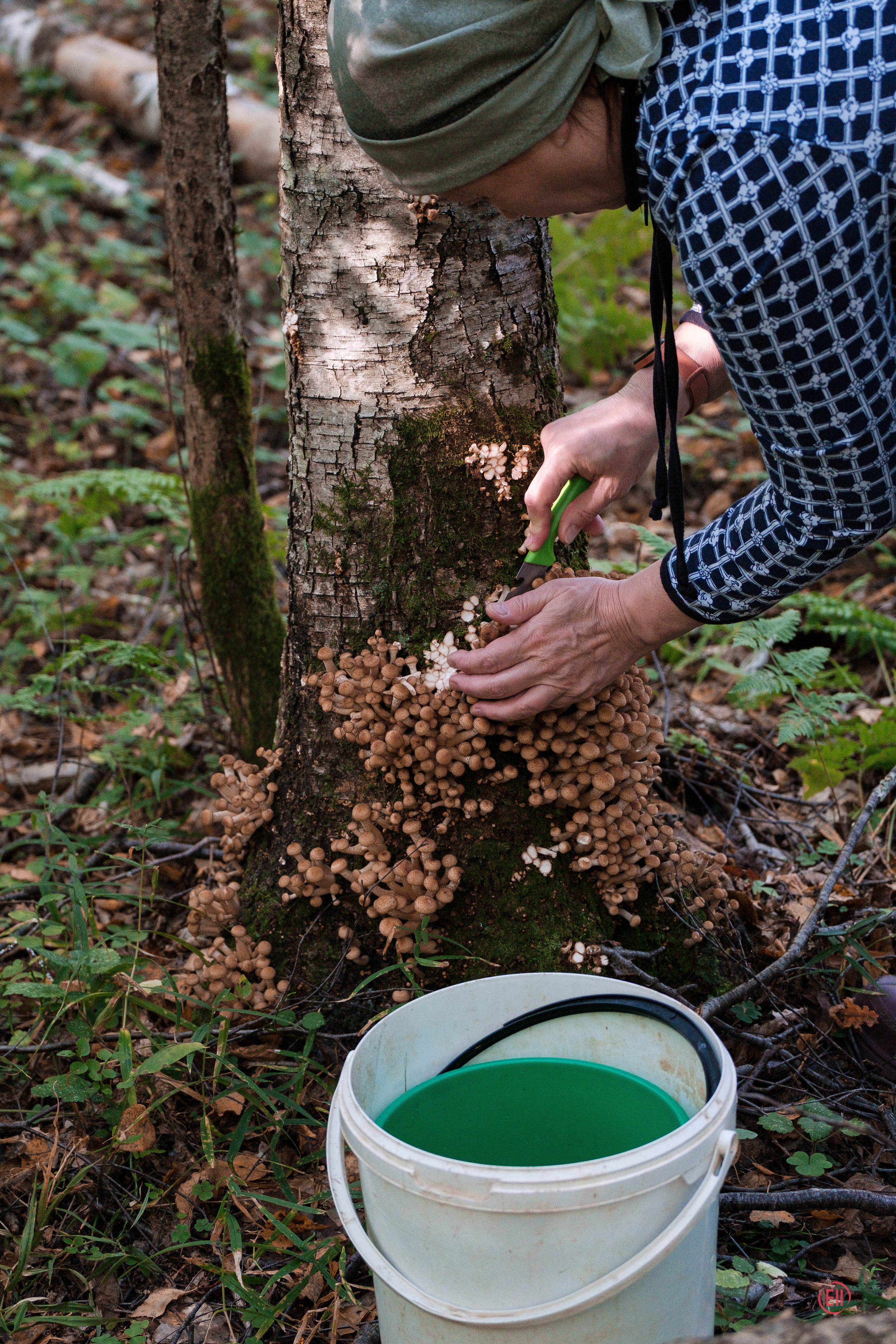 За грибами 13.09.2023. Фотограф в Москве