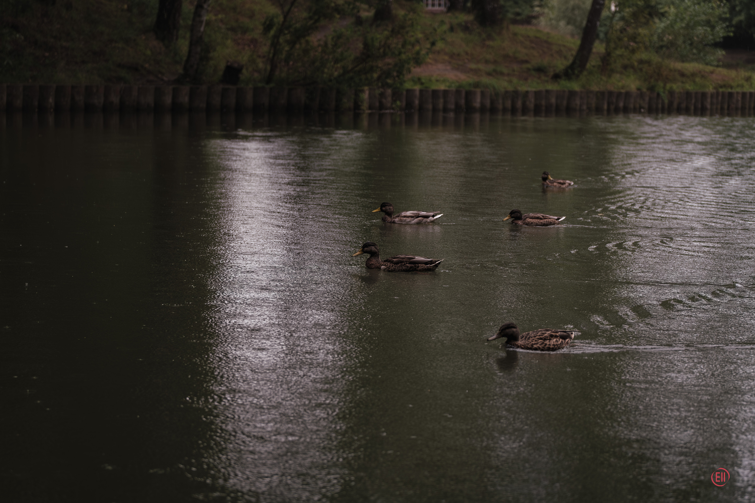 Парк Тропарёво 26.08.2023. Фотограф в Москве